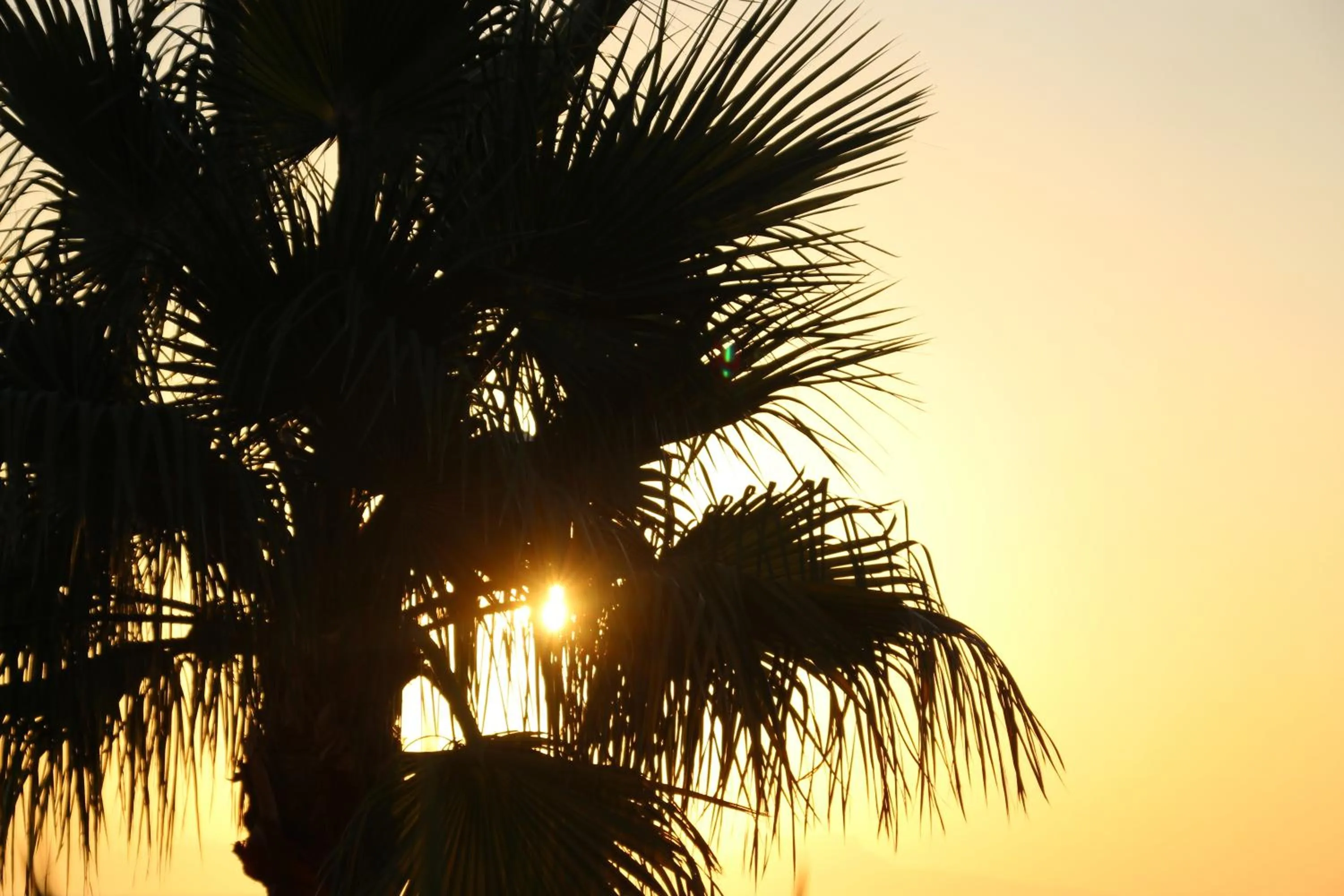 Rethymno Mare Royal & Water Park