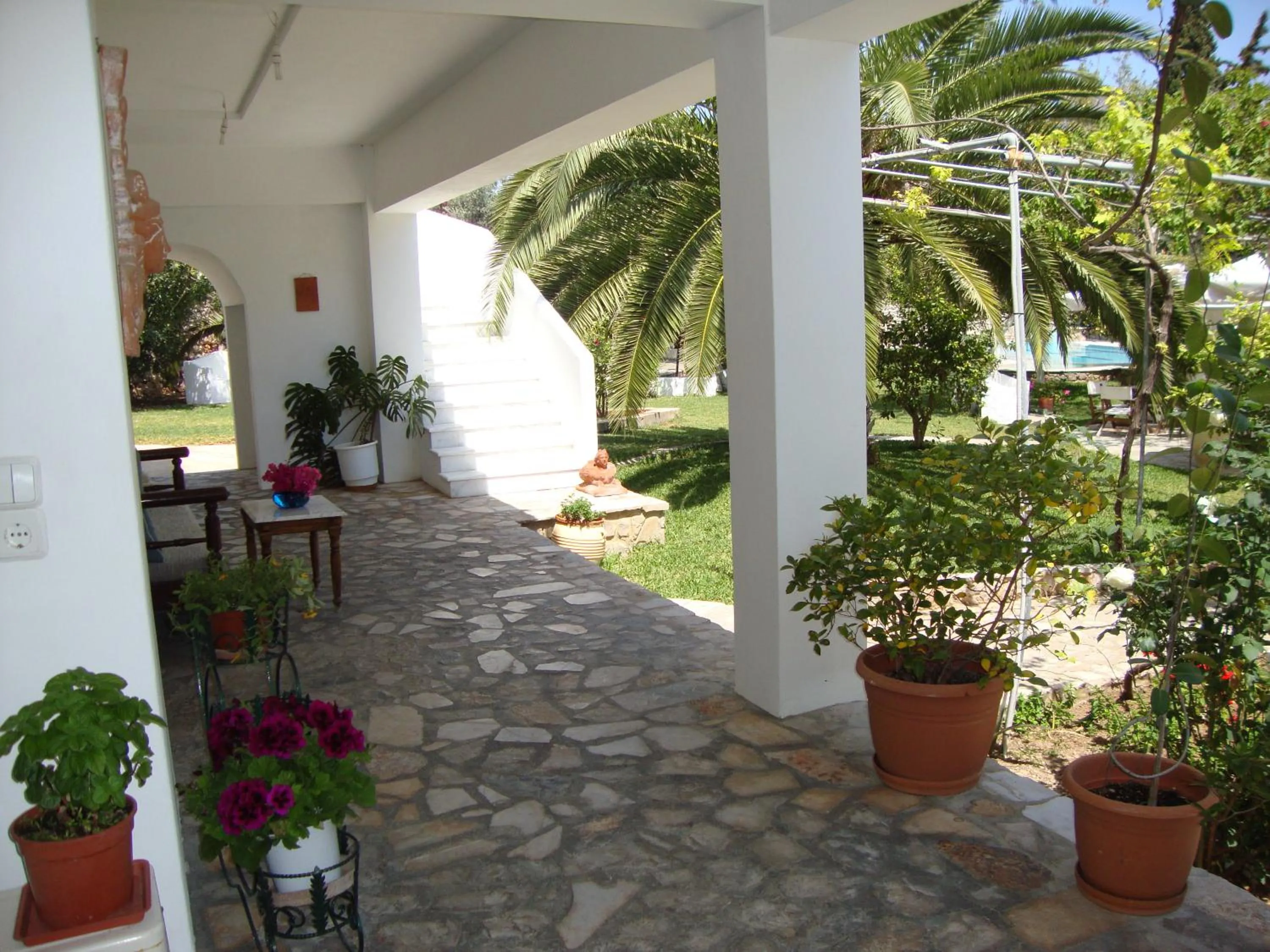 Balcony/Terrace in Villa Martha