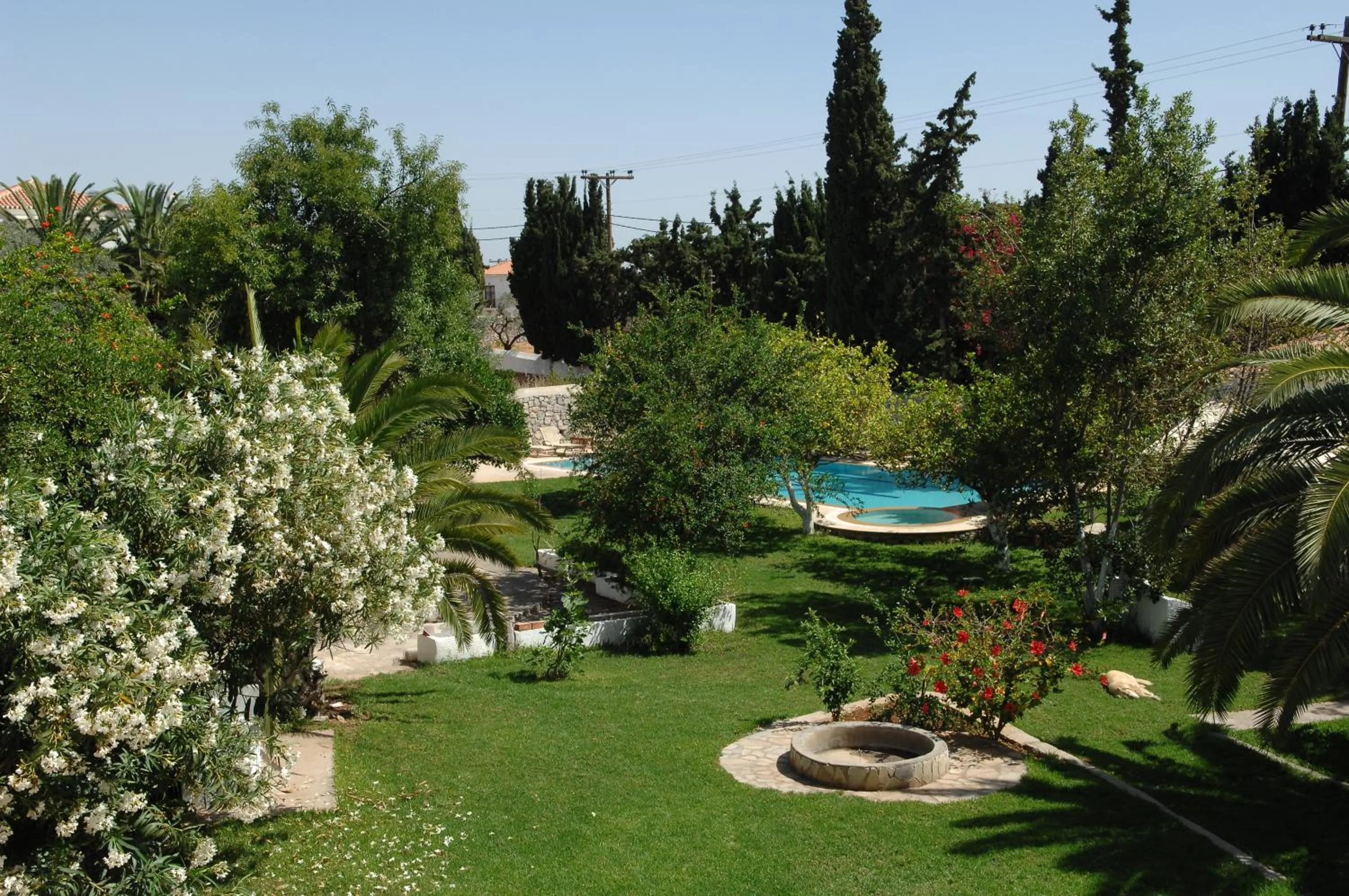 Garden in Villa Martha