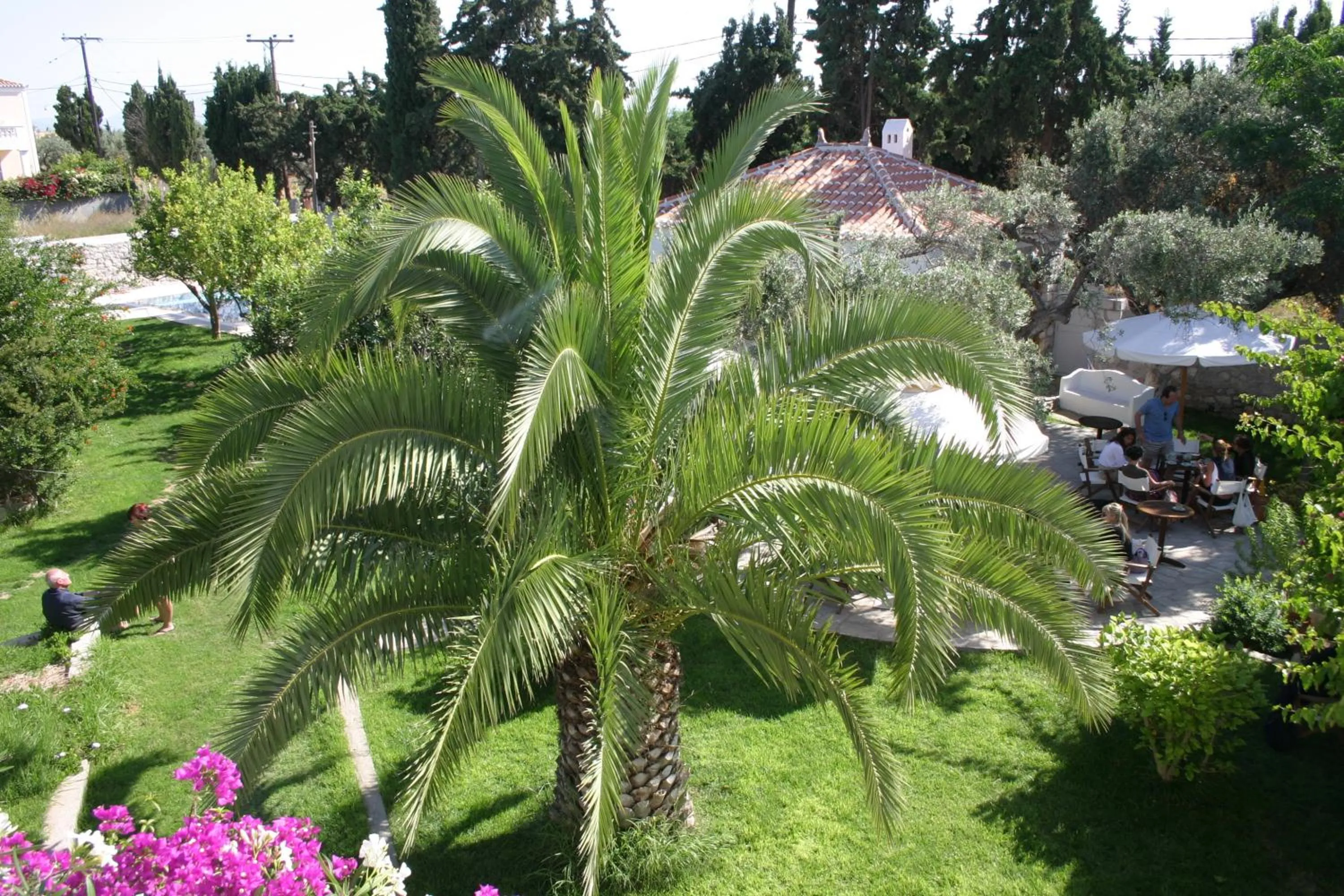 Garden in Villa Martha