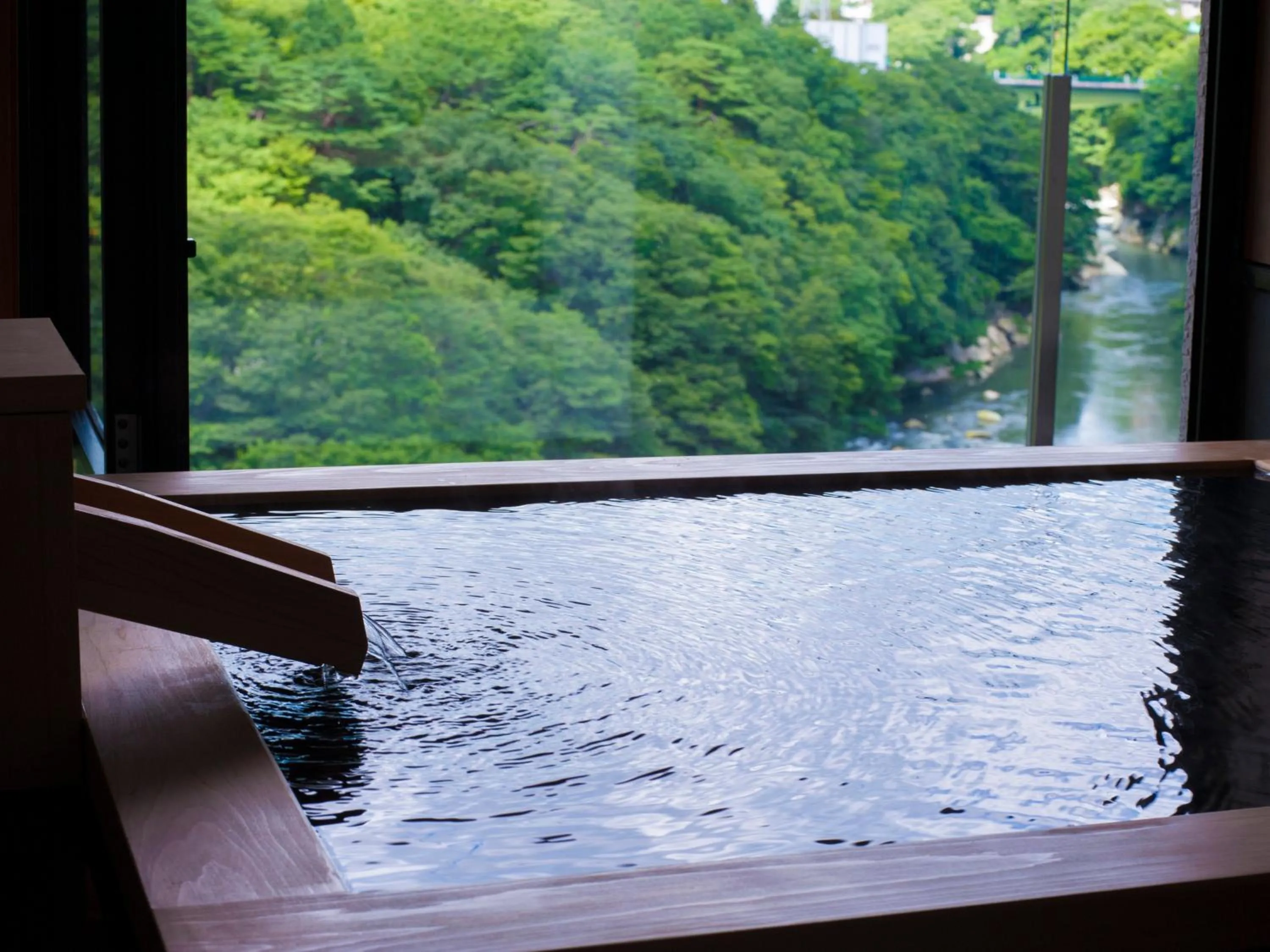 Hot Spring Bath in Kanaya Hotel Kinugawa