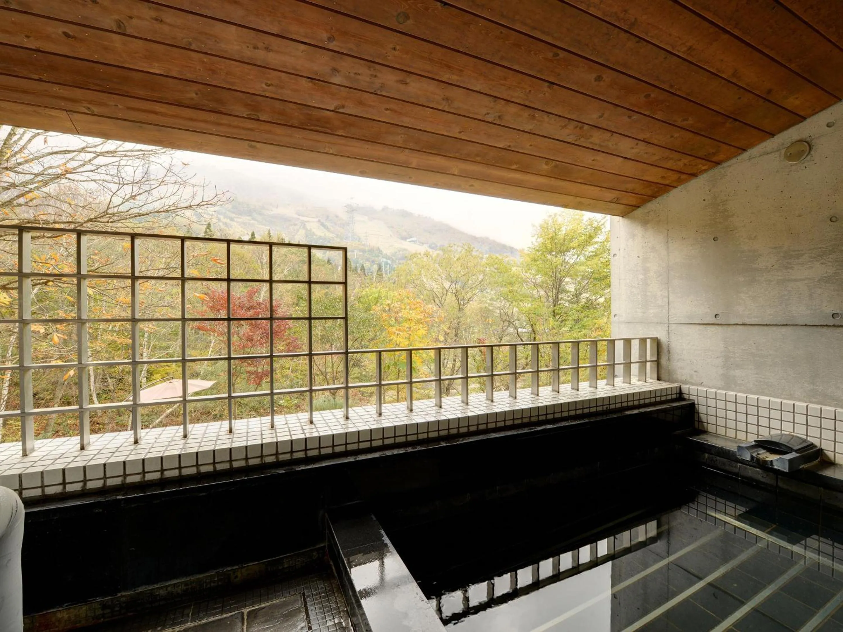 Public Bath in the Kinta Naeba