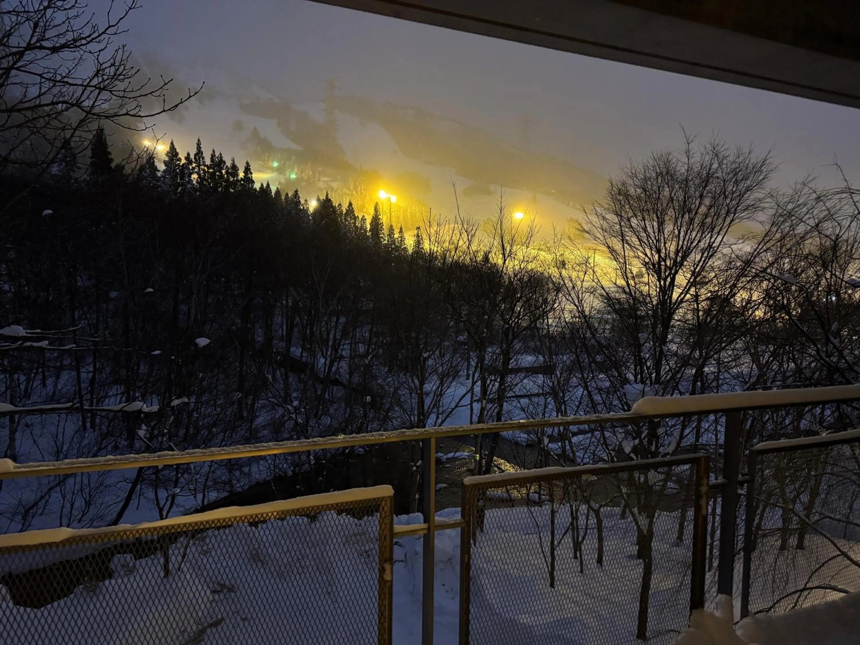 View (from property/room) in the Kinta Naeba