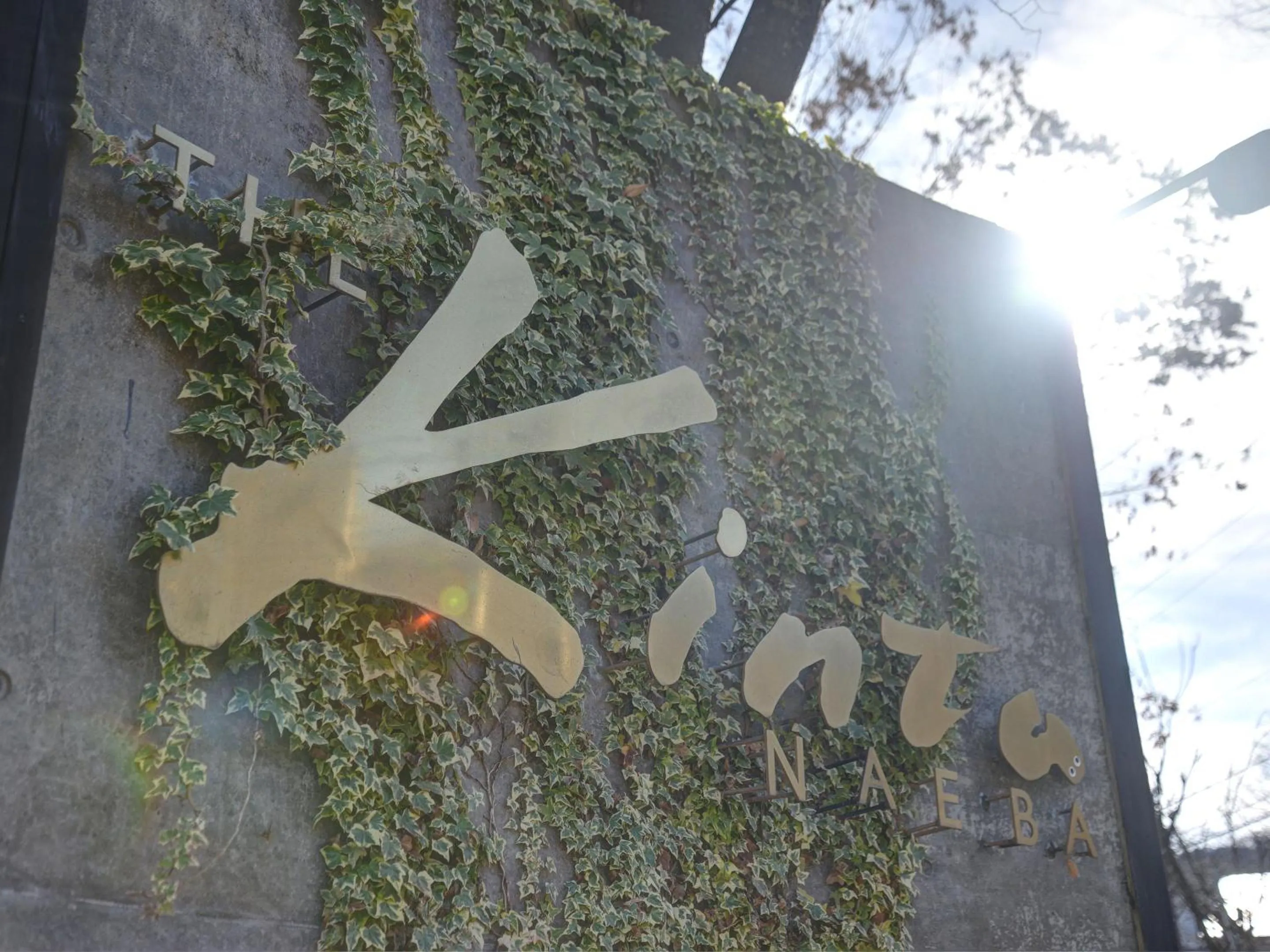 Property building in the Kinta Naeba