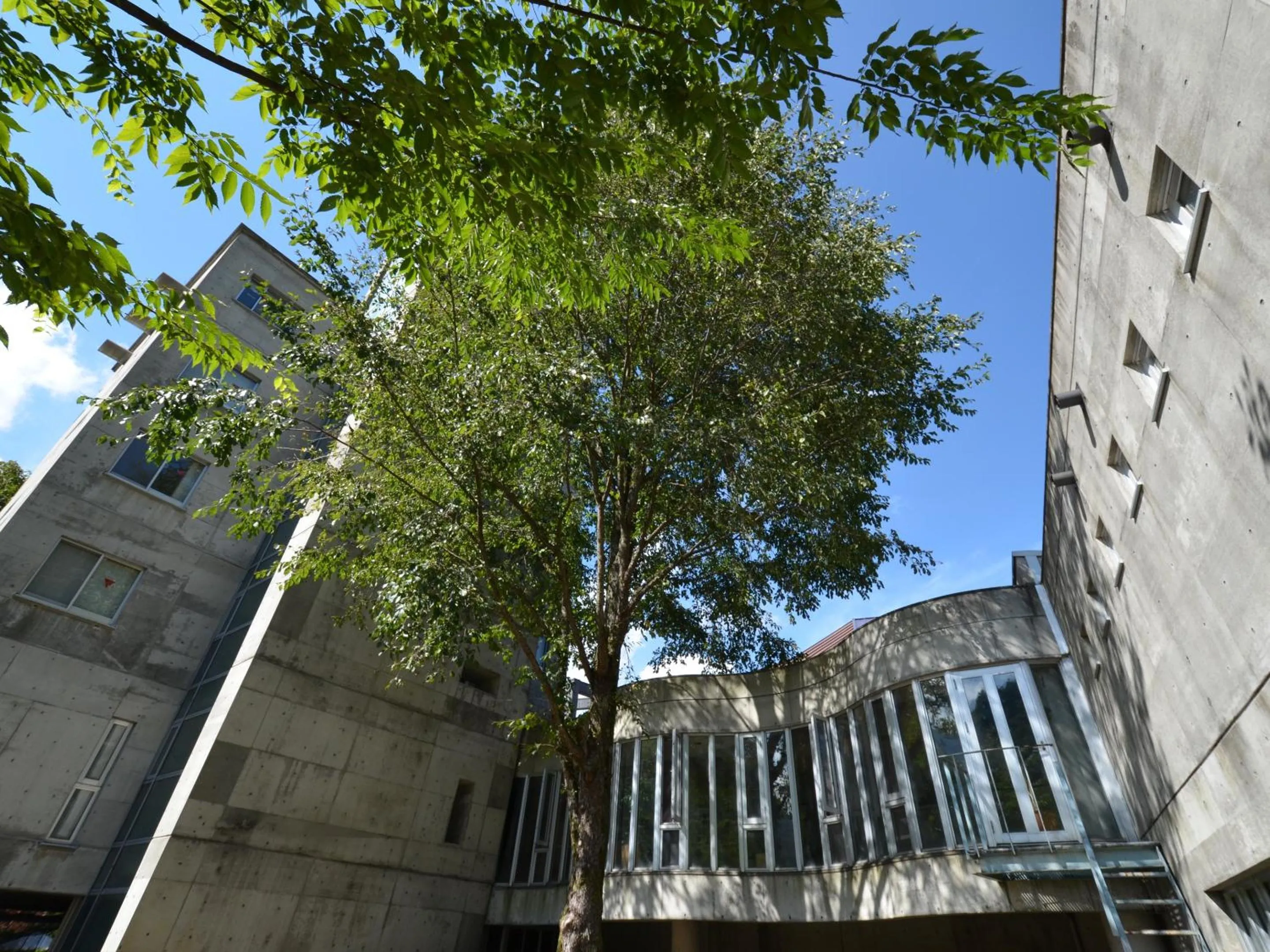 Property building in the Kinta Naeba