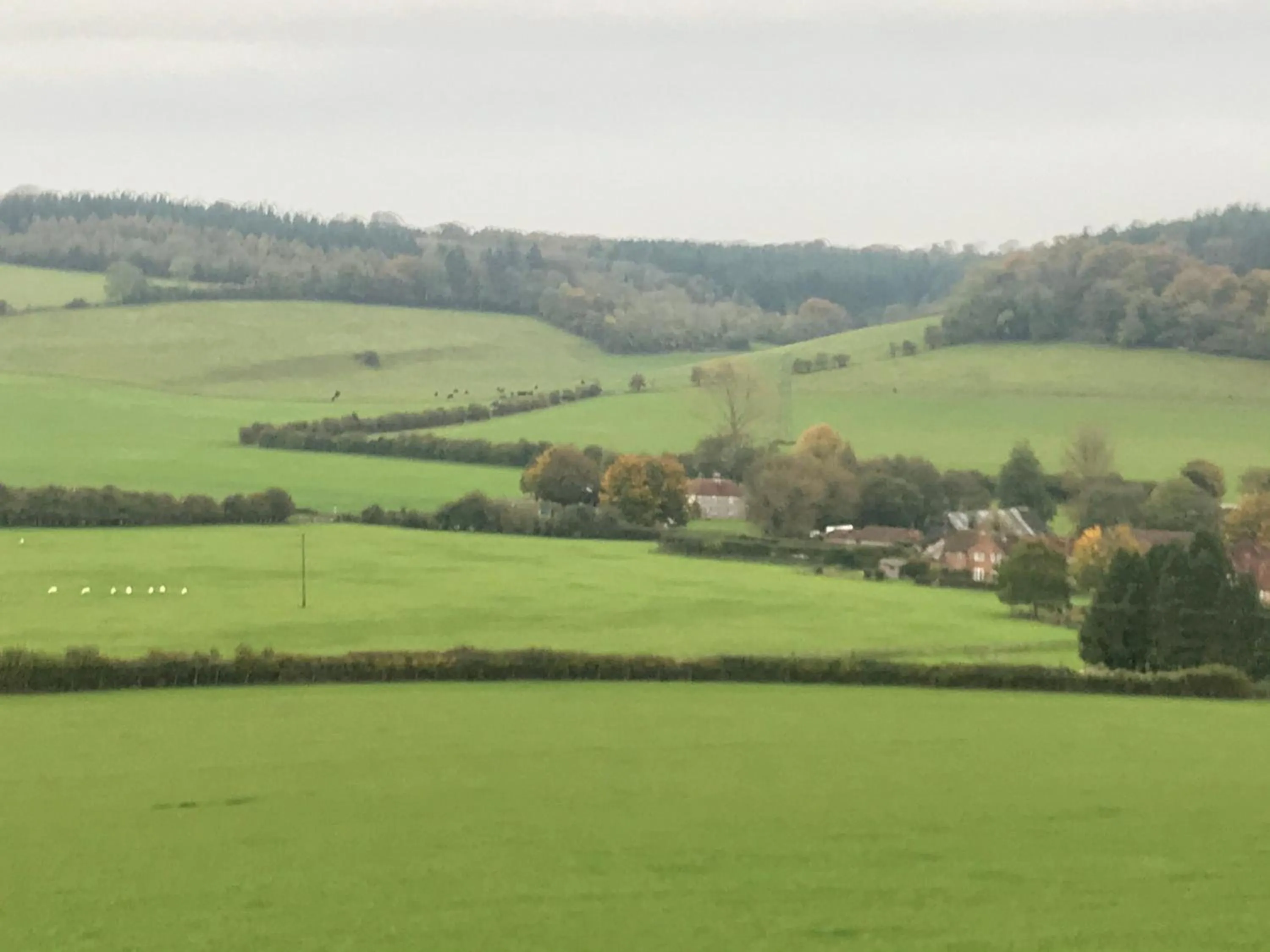 Charlton End - Goodwood Events