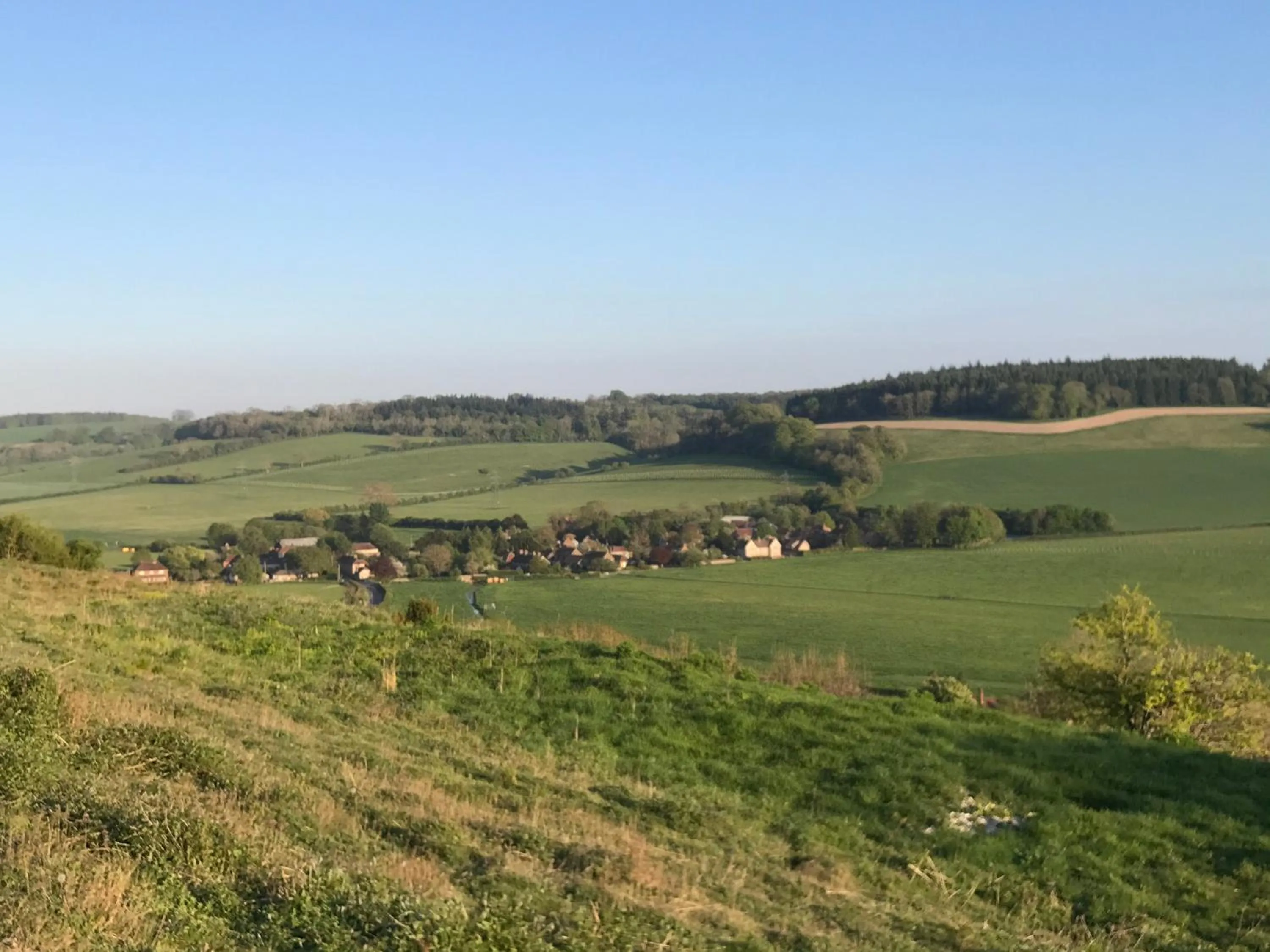 Charlton End - Goodwood Events