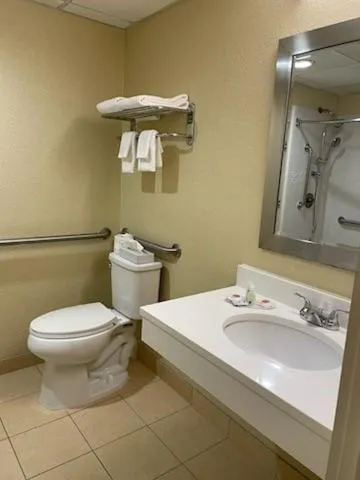 Toilet in Quality Inn & Suites Morgantown - University Area