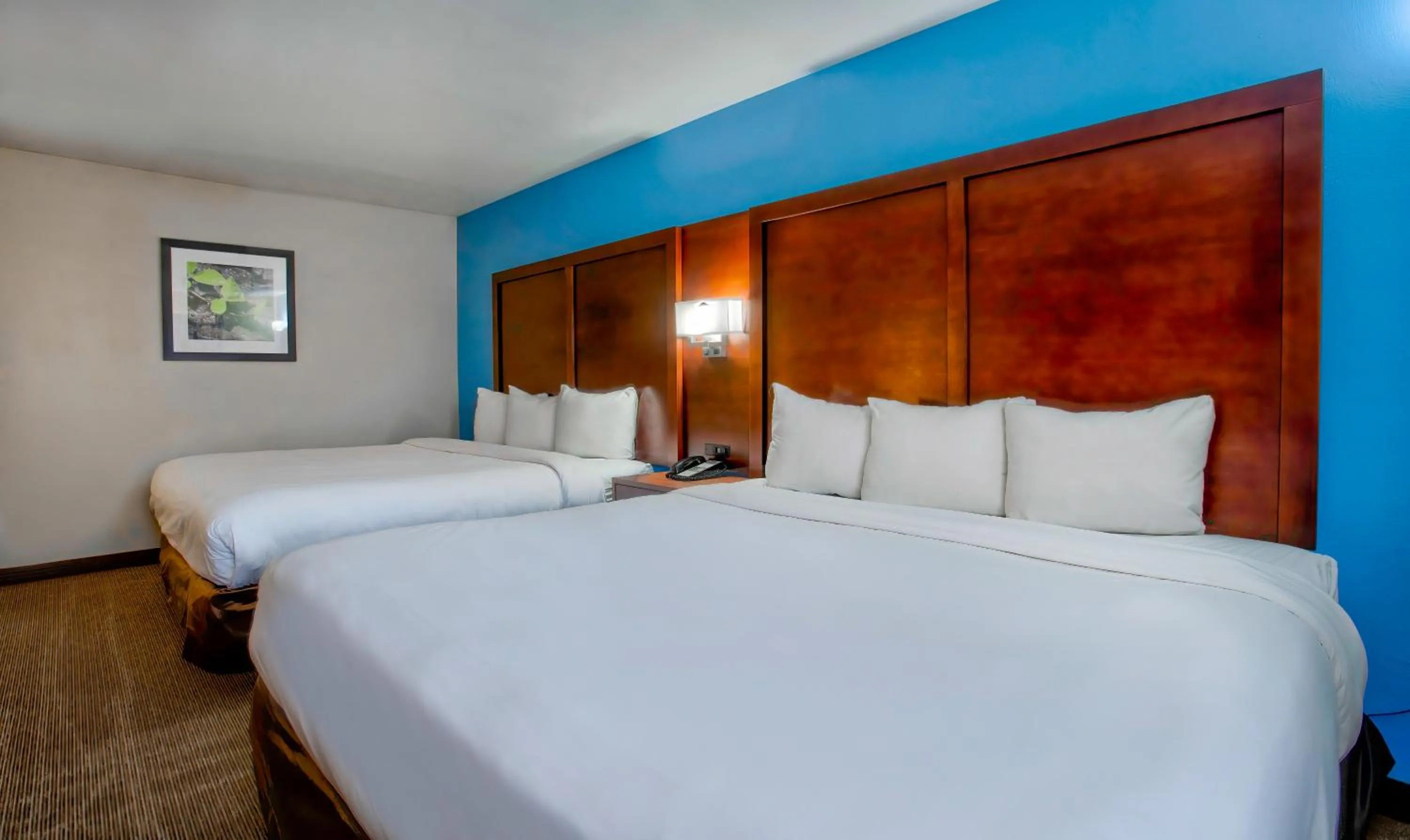 Bedroom in Studio 6 Suites Willcox AZ