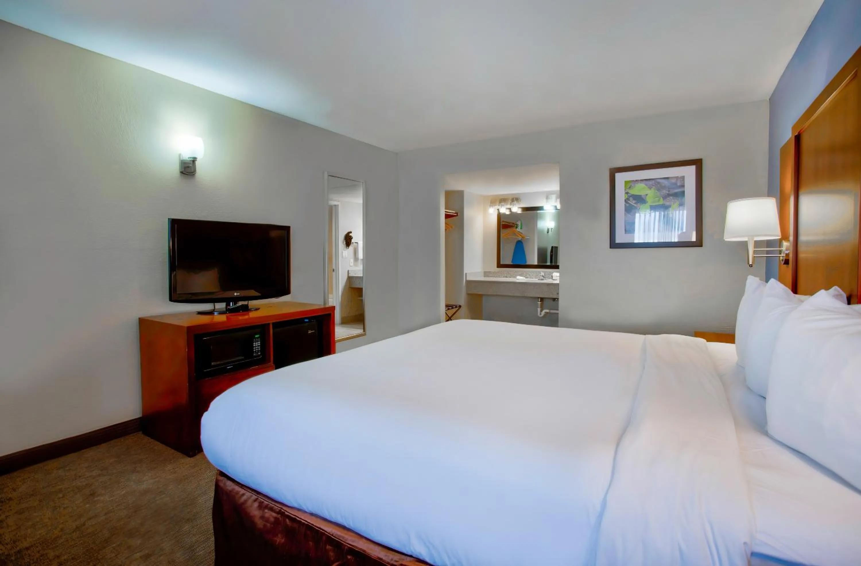 Bedroom in Studio 6 Suites Willcox AZ