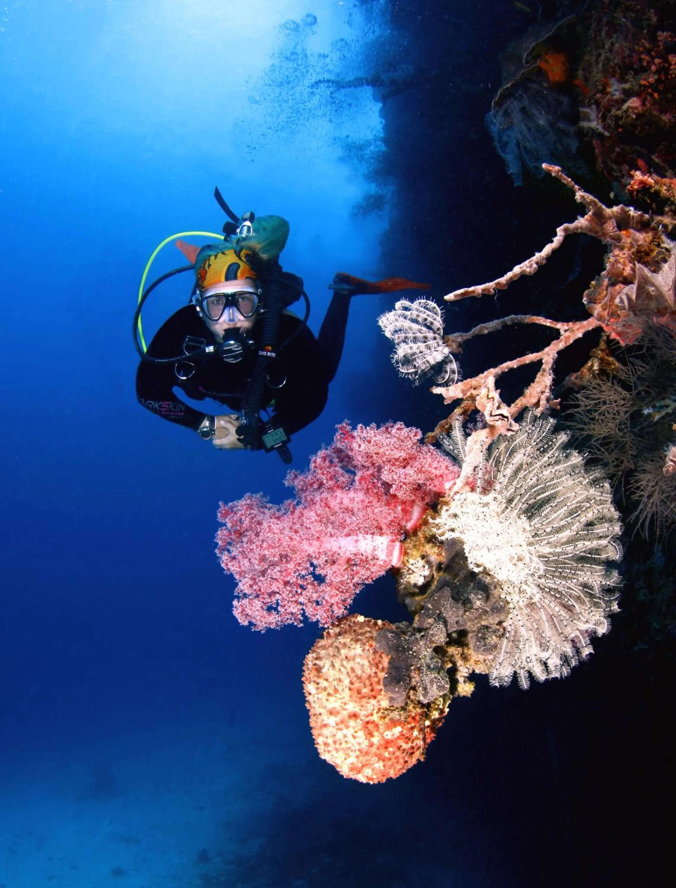 Activities in Amun Ini Beach Resort & Spa