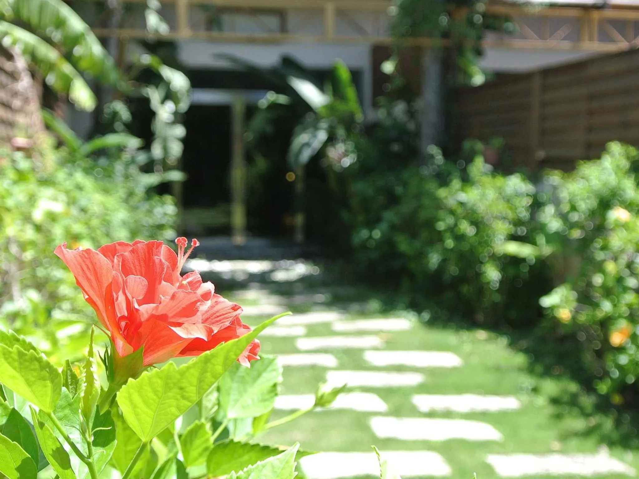 Neighbourhood in Howard Villa