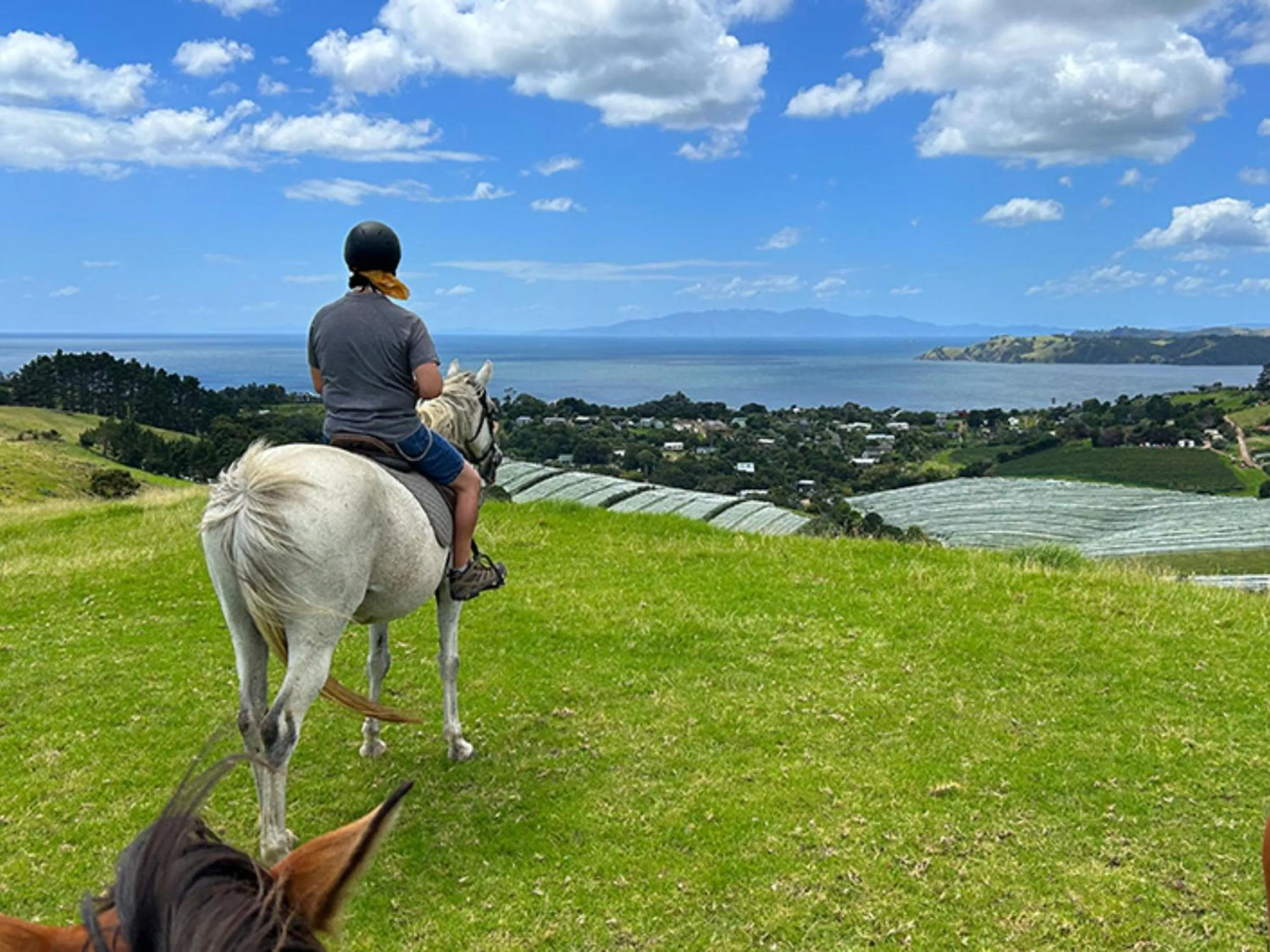 Horse-riding in Apex Motorlodge