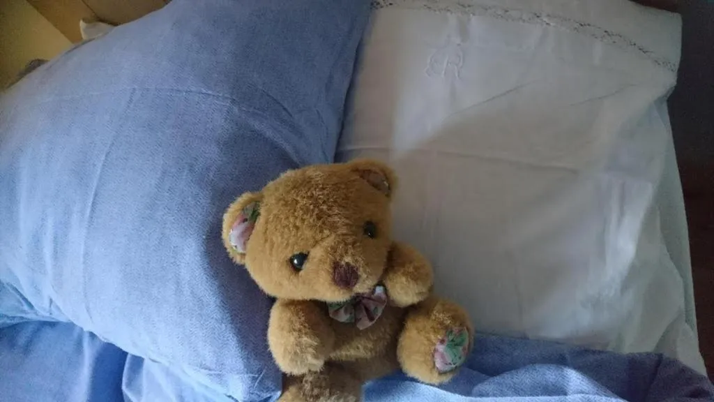 Bed in Bo i Remmarlöv