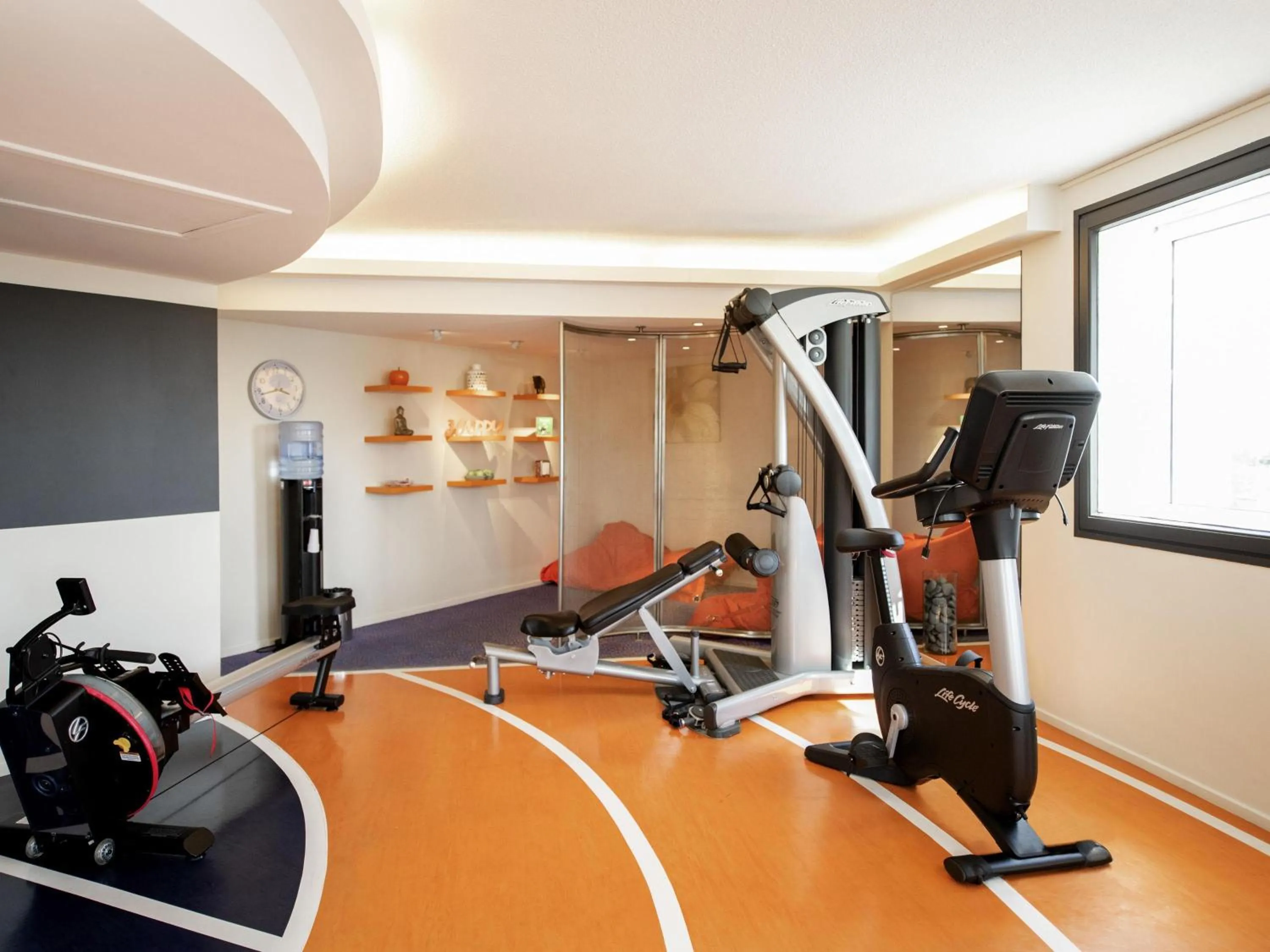 Fitness centre/facilities in Novotel Lyon Gerland Musée des Confluences