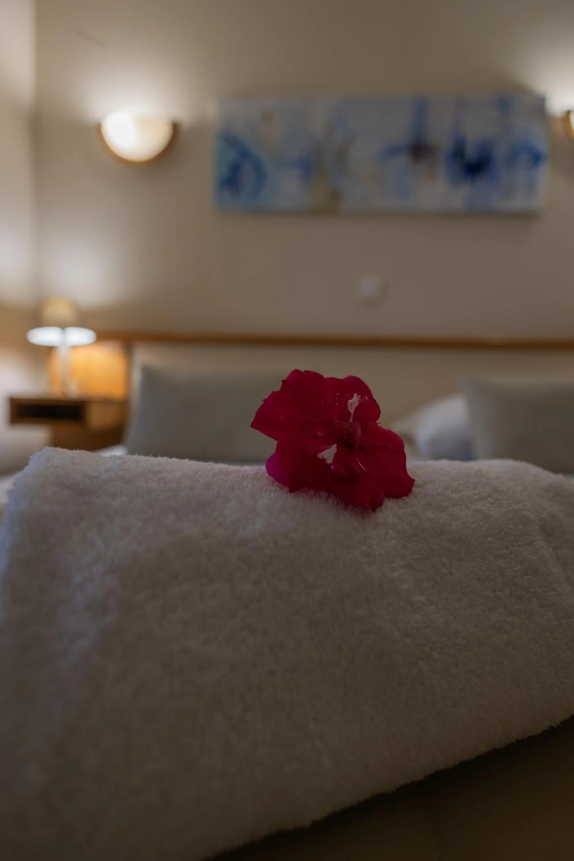 Bed in Logis des Crêtes de Pignols