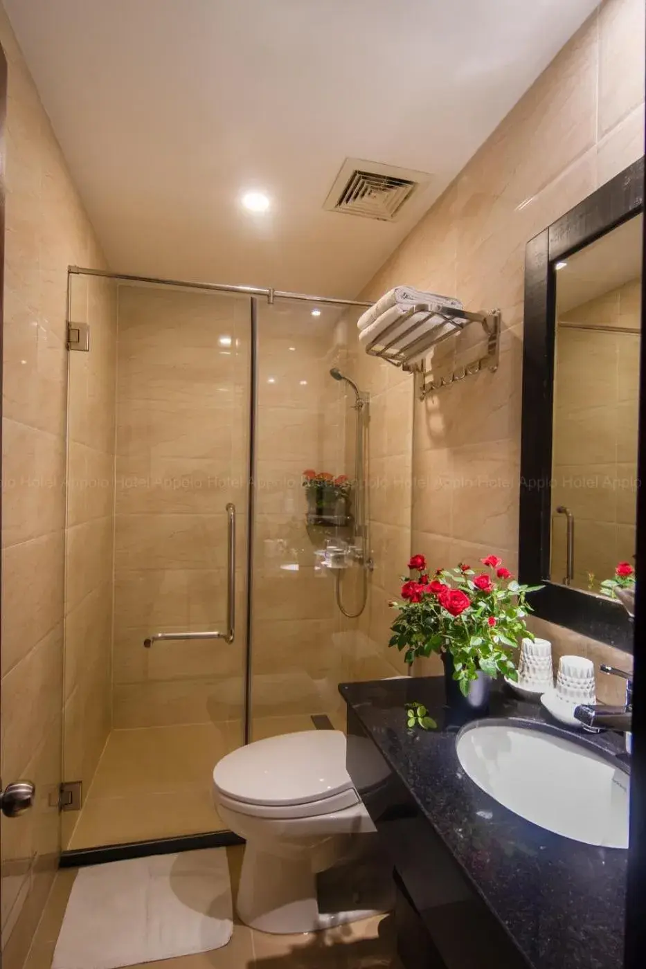 Shower in Apollo Airport Hotel Shower in Apollo Airport Hotel