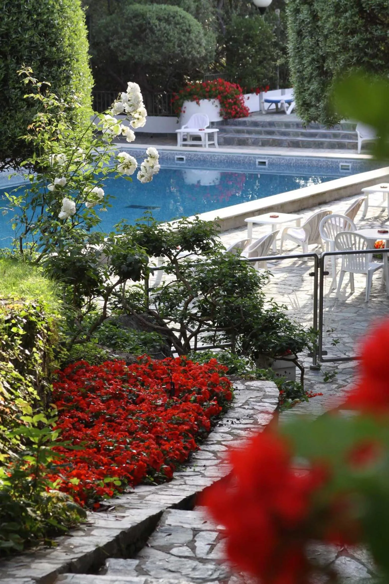 Swimming pool in Hôtel Pietracap