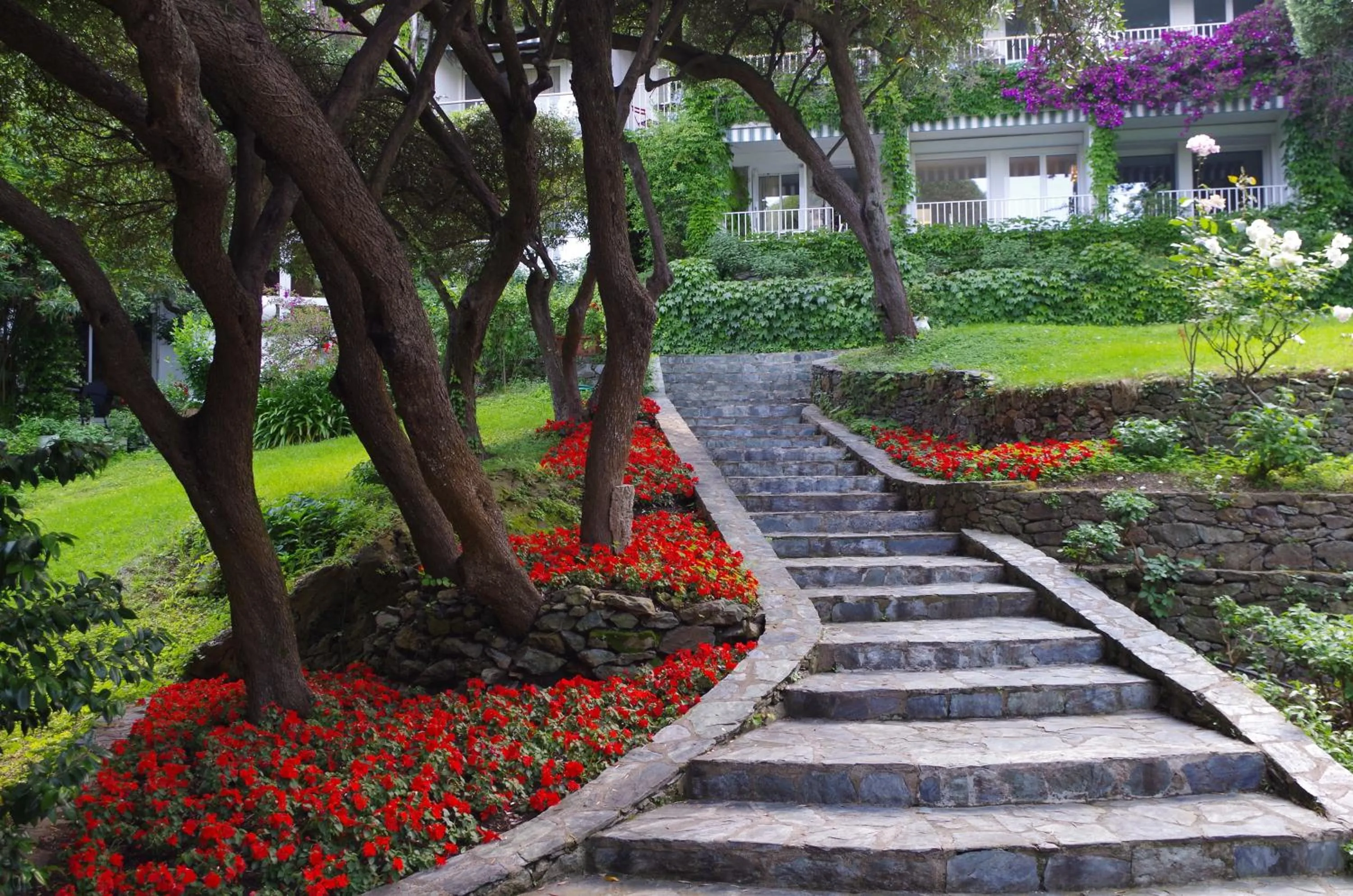 Day in Hôtel Pietracap