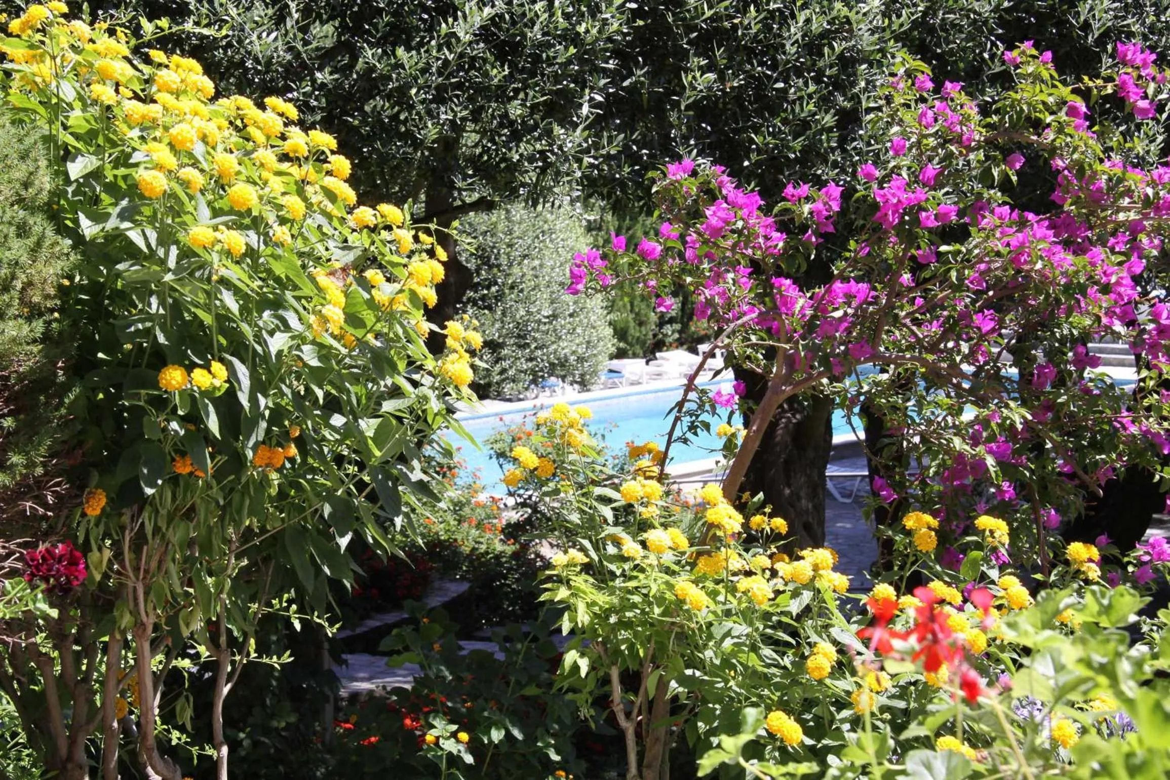 Garden in Hôtel Pietracap