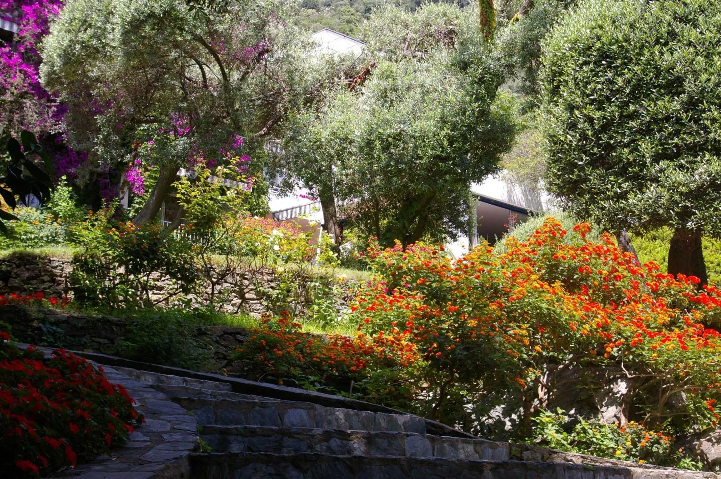 Garden in Hôtel Pietracap