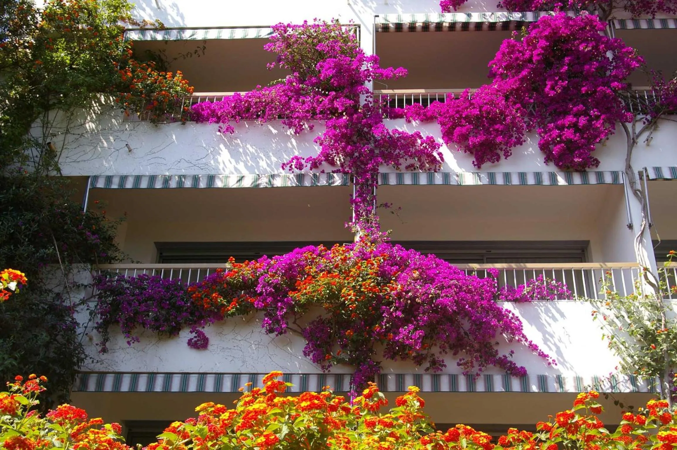 Garden view in Hôtel Pietracap