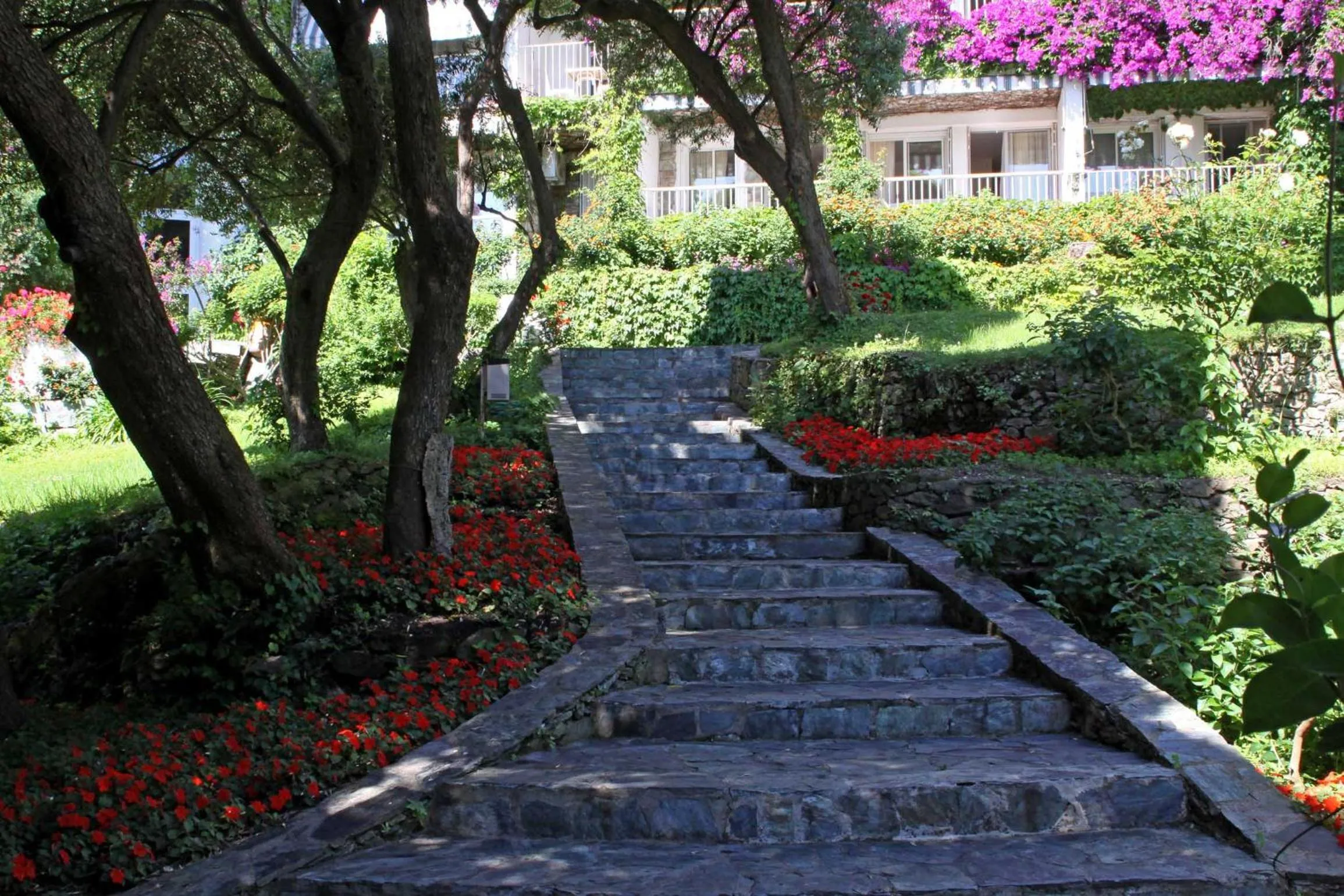 Garden in Hôtel Pietracap