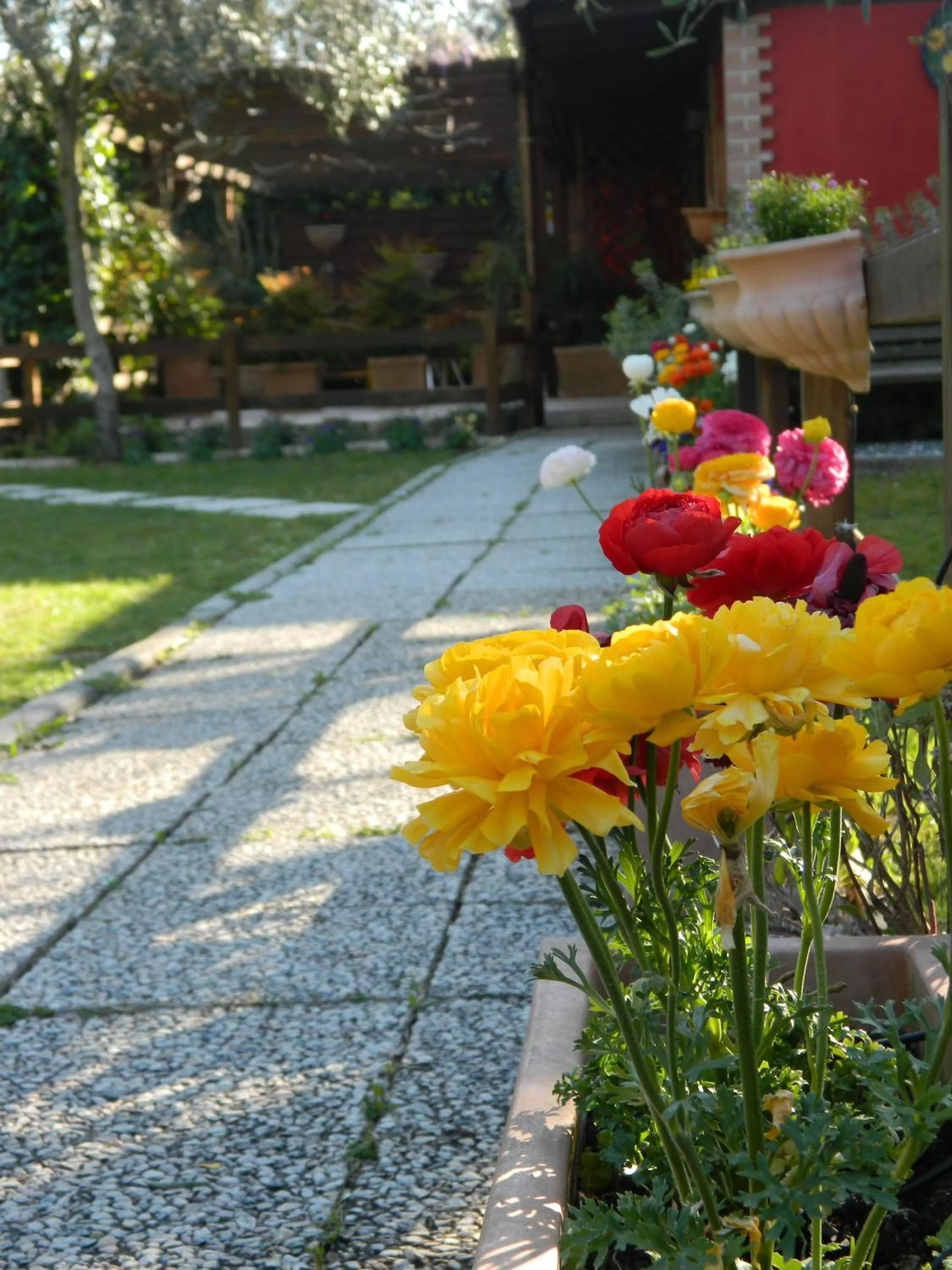 Patio in La Locanda di Decima