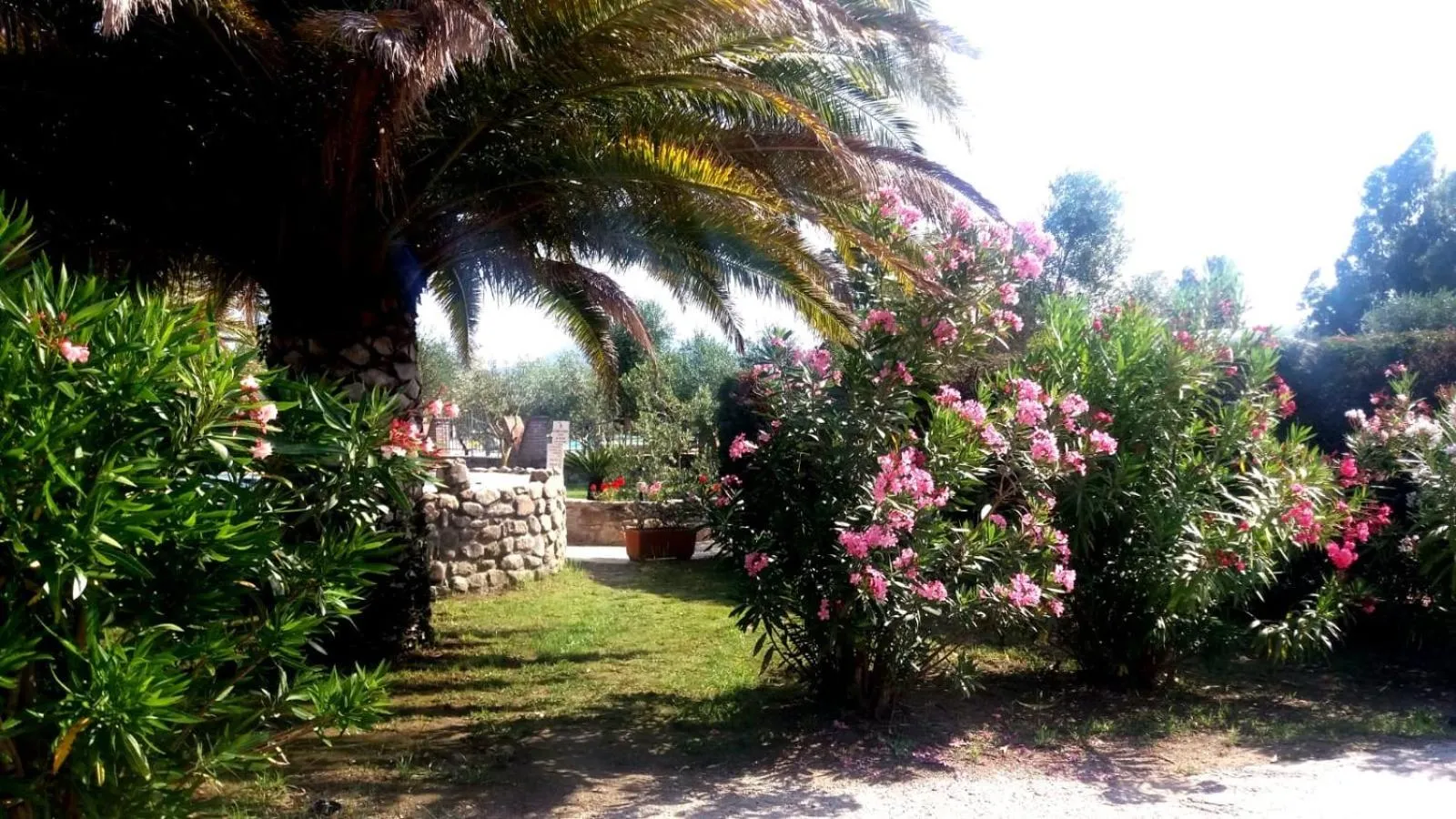 Residence Dolores Castle