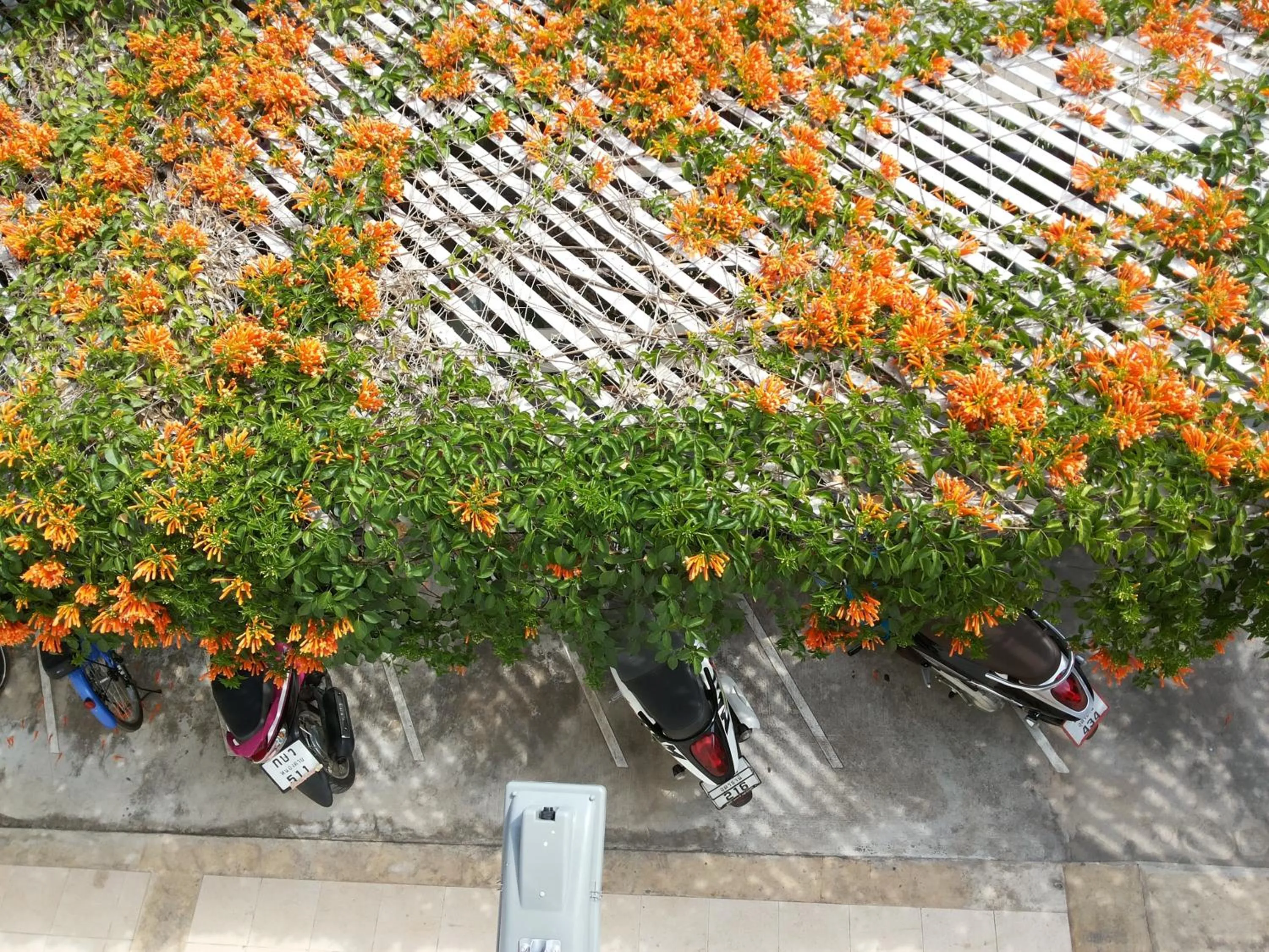 Other in Santipran Place