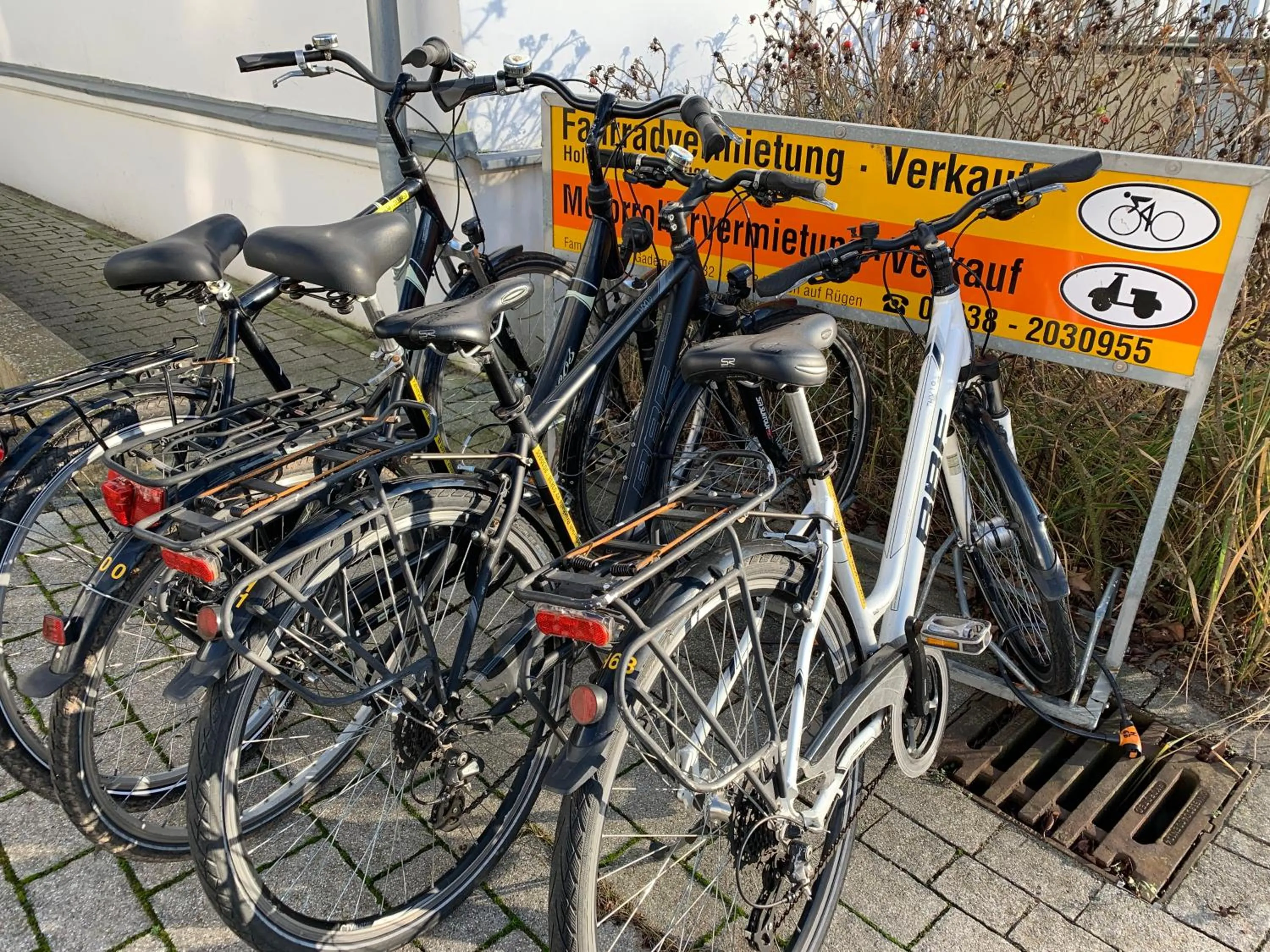 Activities in Parkhotel Putbus Superior International