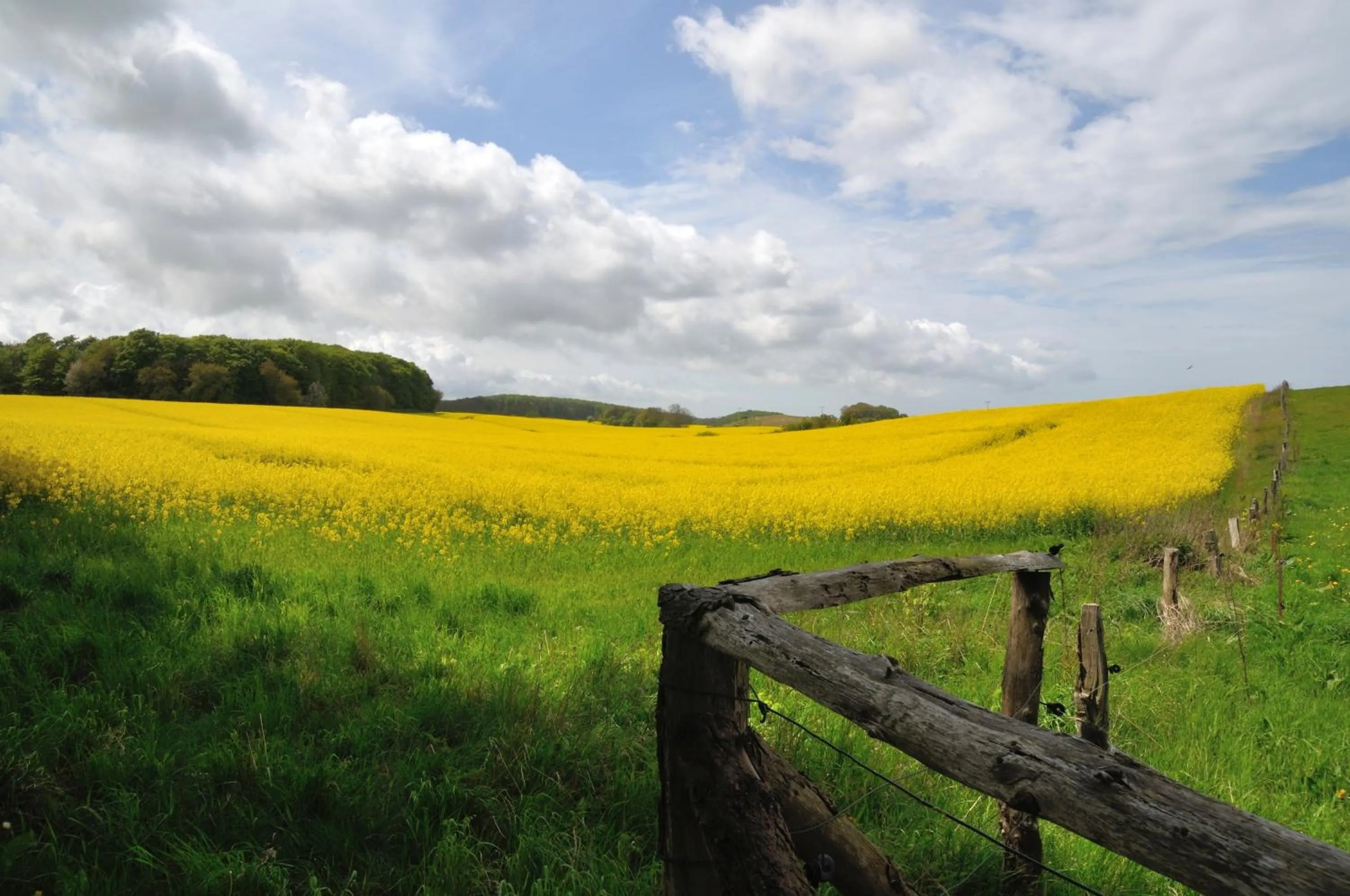 Natural landscape in Parkhotel Putbus Superior International