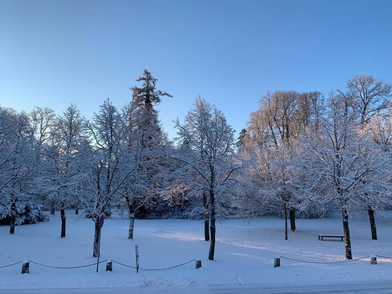 View (from property/room) in Parkhotel Putbus Superior International