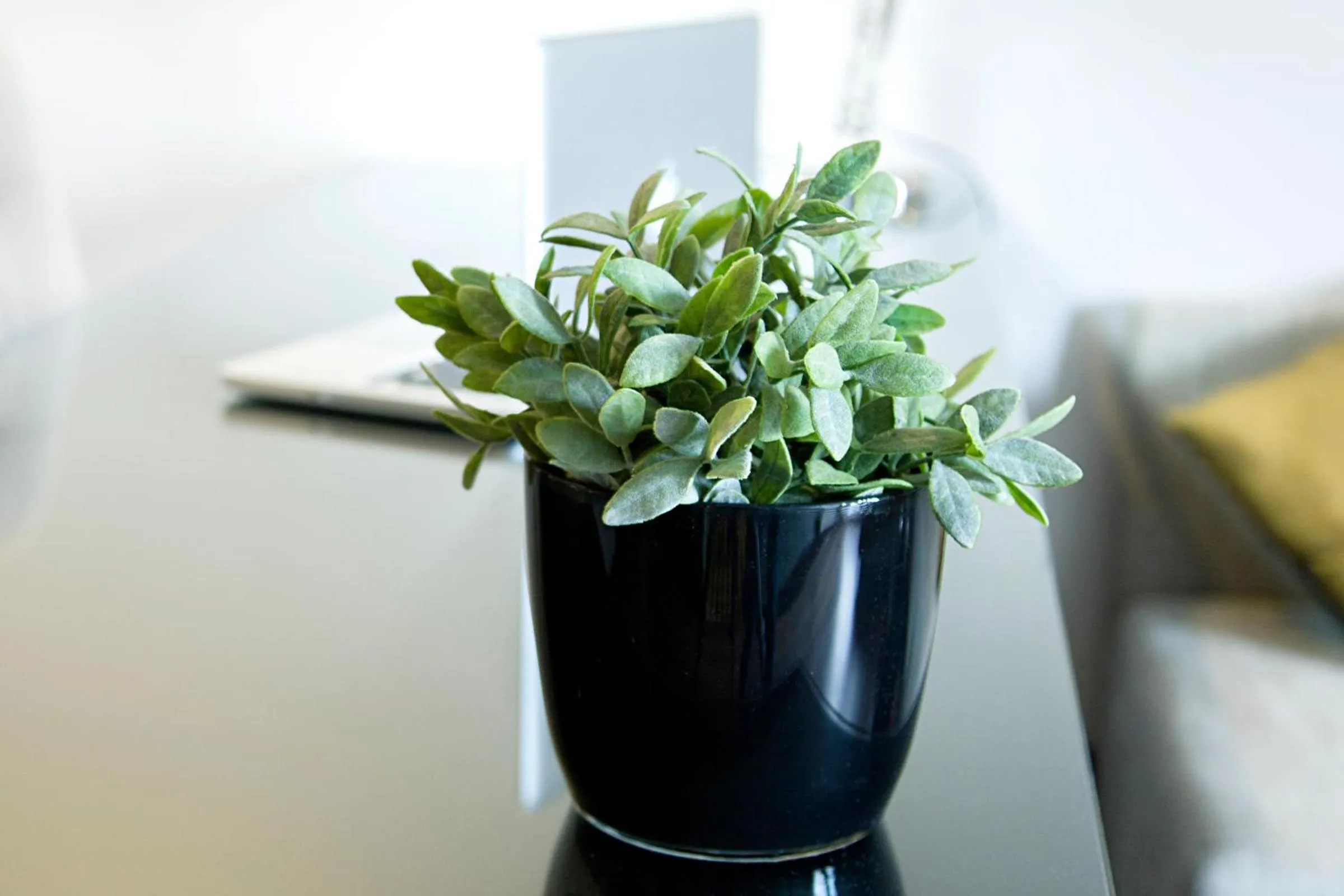 Decorative detail in Quentin Boutique Hotel