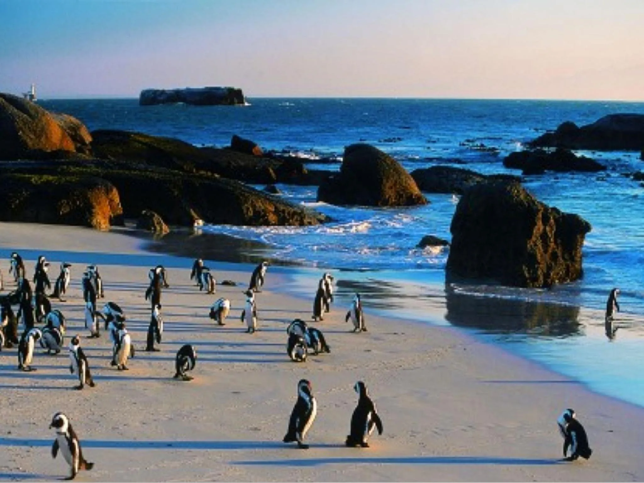 Area and facilities in Penguinden - load-shedding free