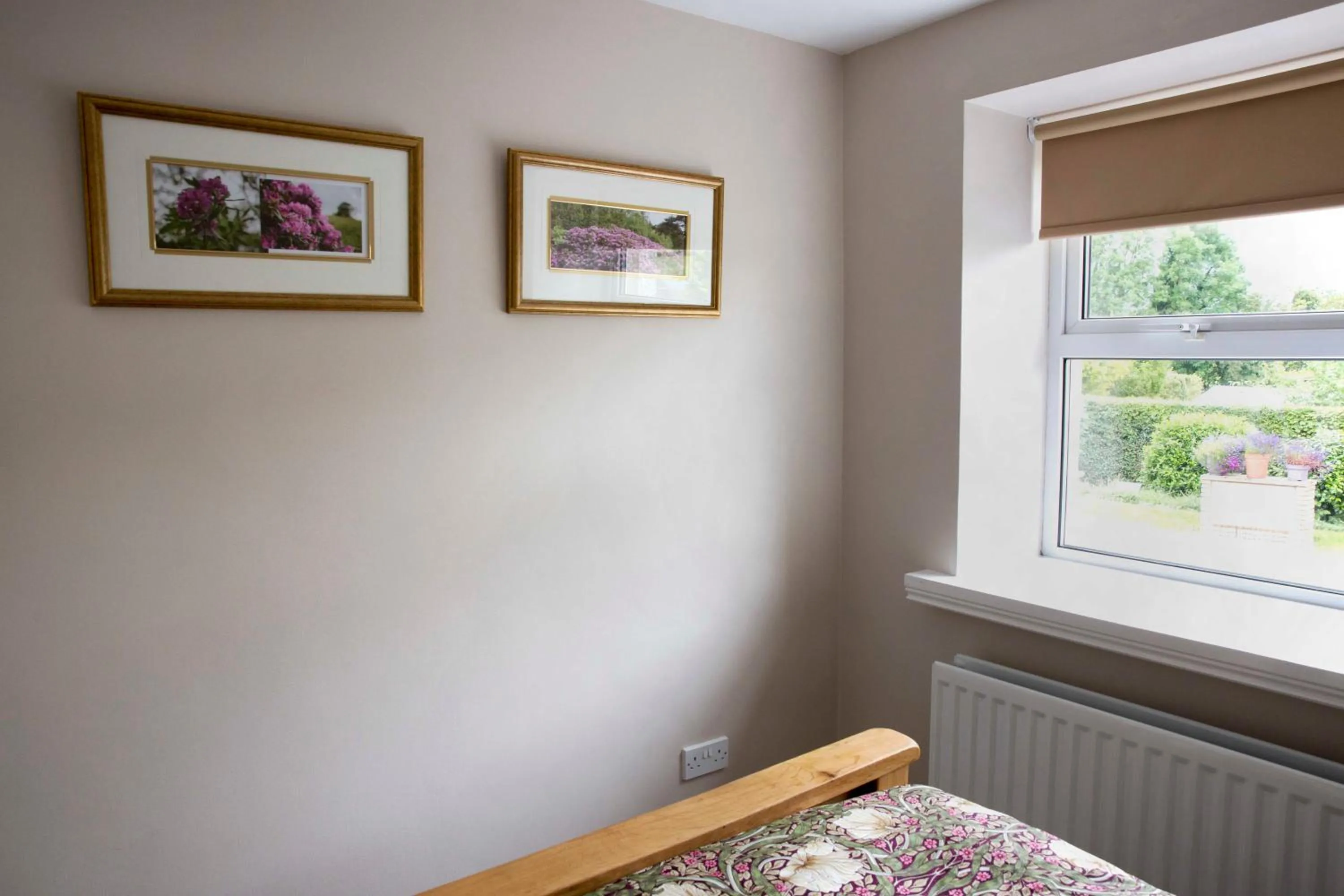 Quiet street view, Bed in Old Schoolhouse B and B