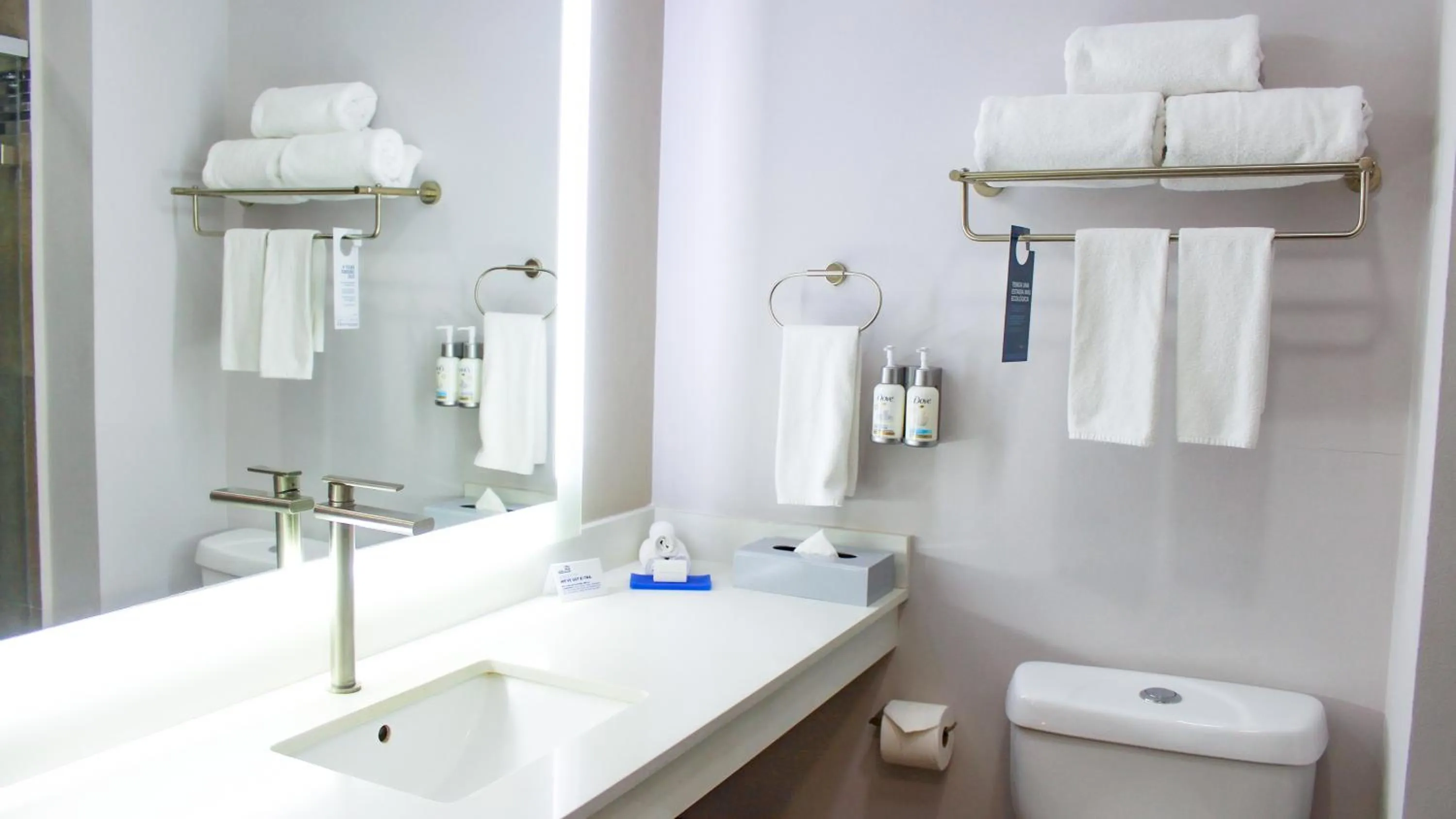 Toilet in Holiday Inn Express Guaymas by IHG