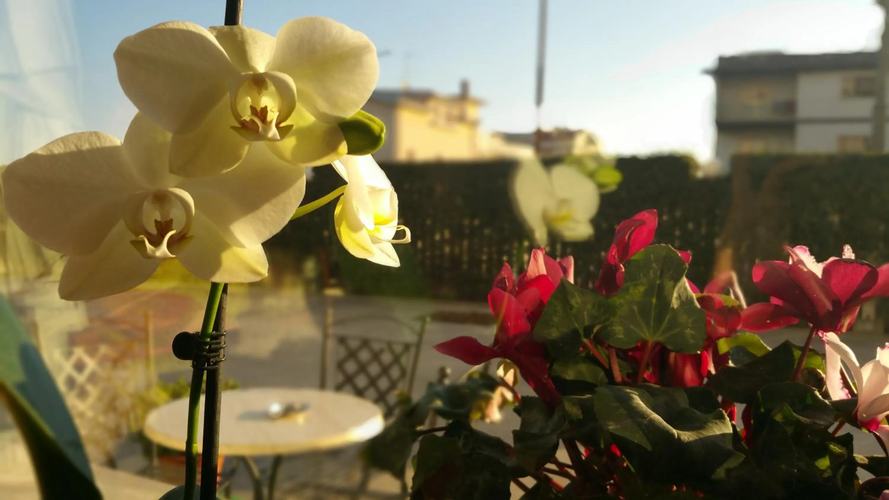 Patio in Hotel Villa Truentum