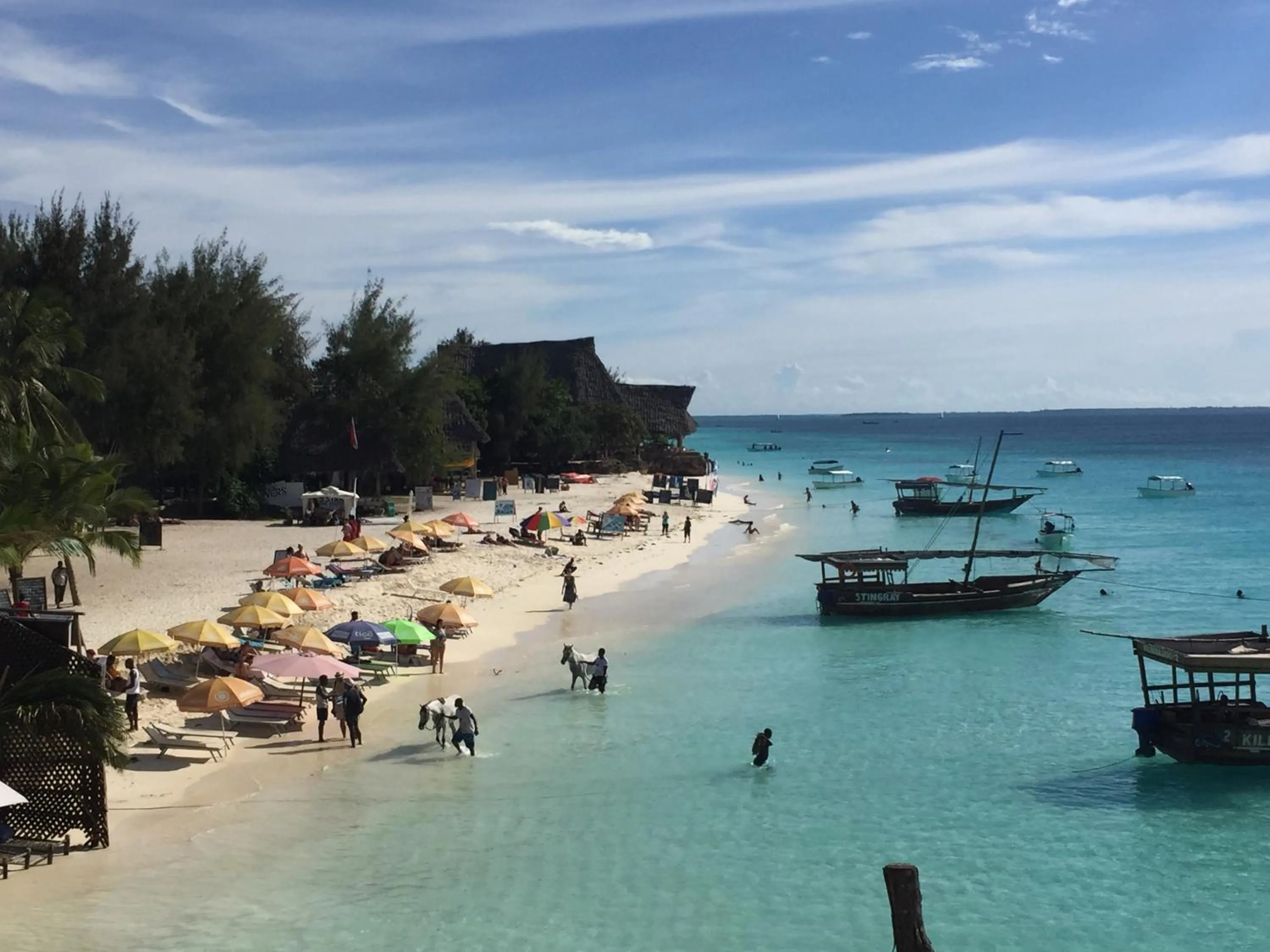 Beach in Nungwi Getaway