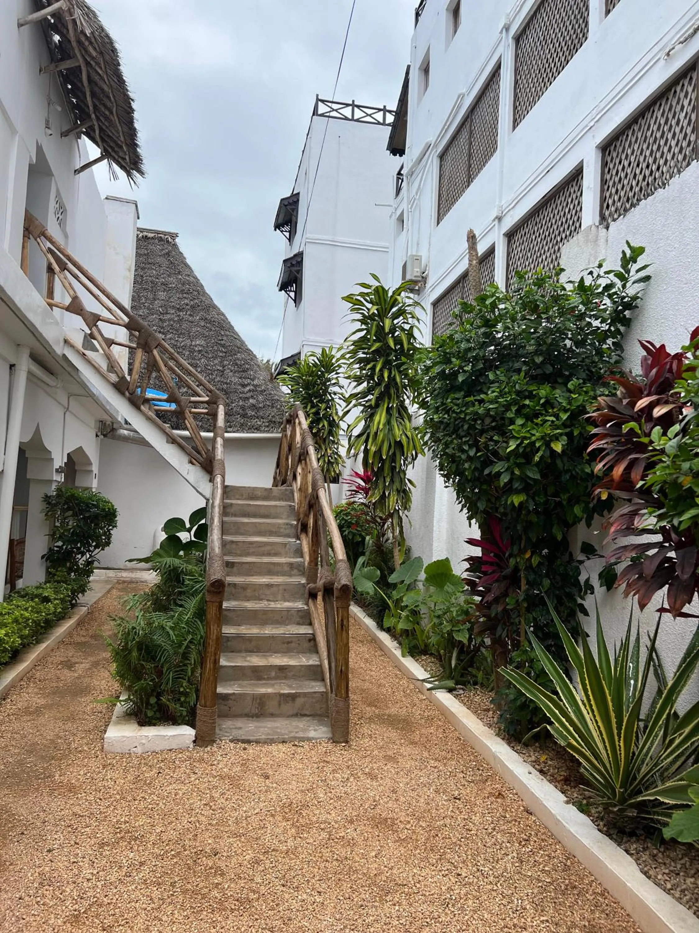 Garden in Nungwi Getaway