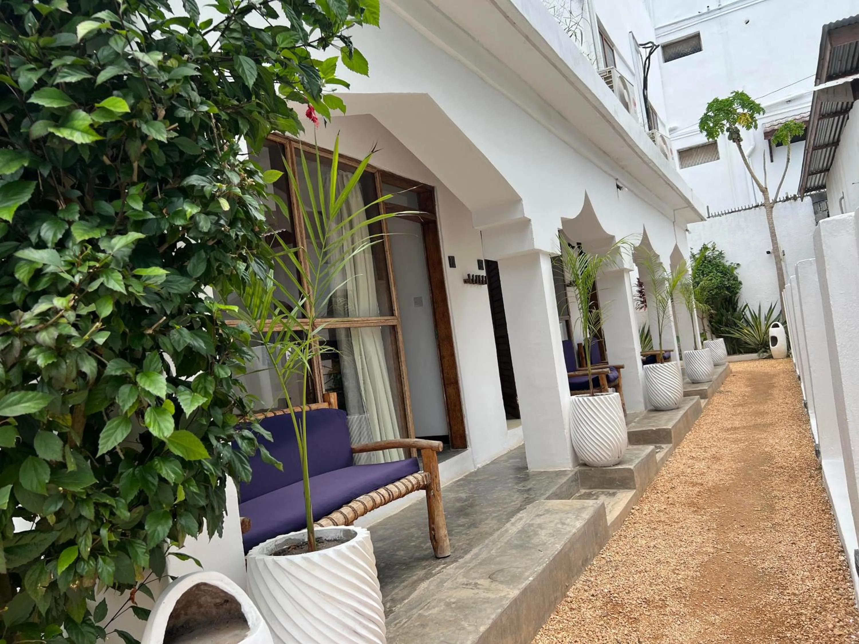 Garden in Nungwi Getaway