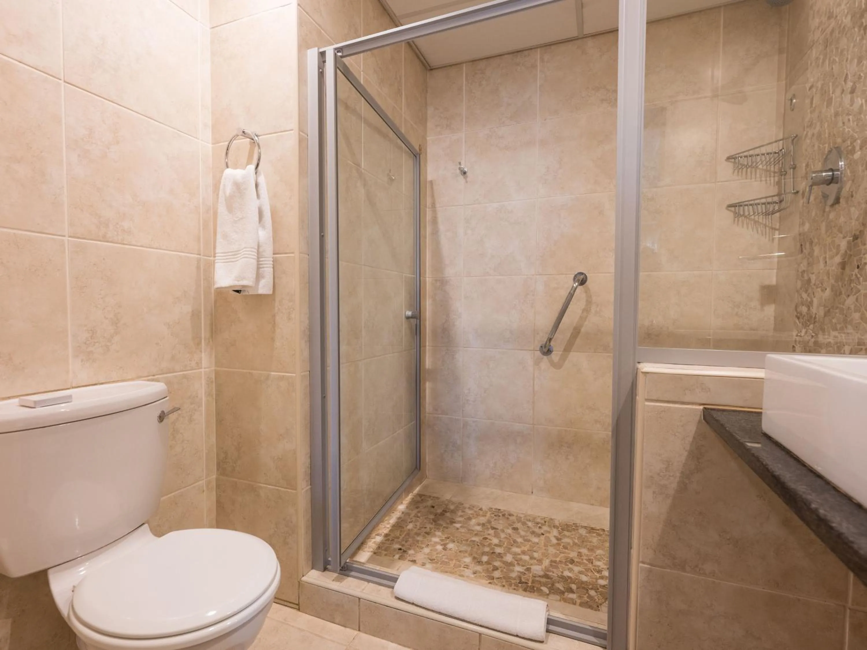 Toilet in ANEW Hotel Hatfield Pretoria