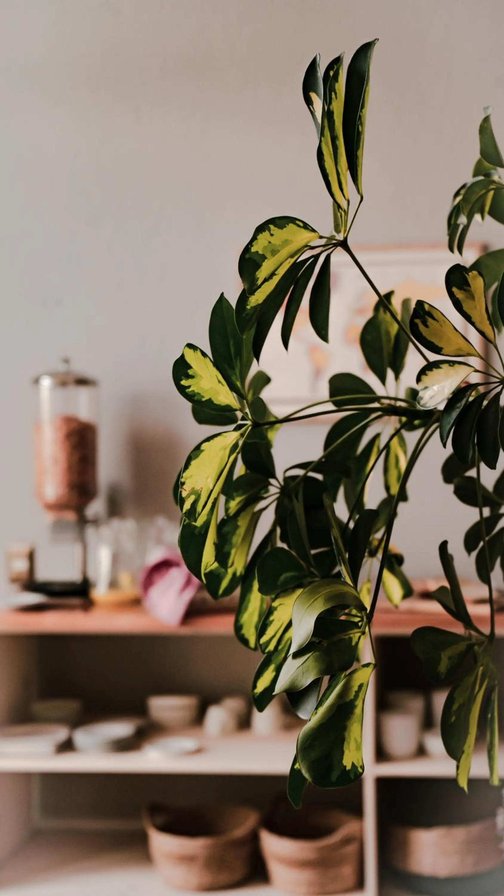 Hostal Boutique Puerta Roja