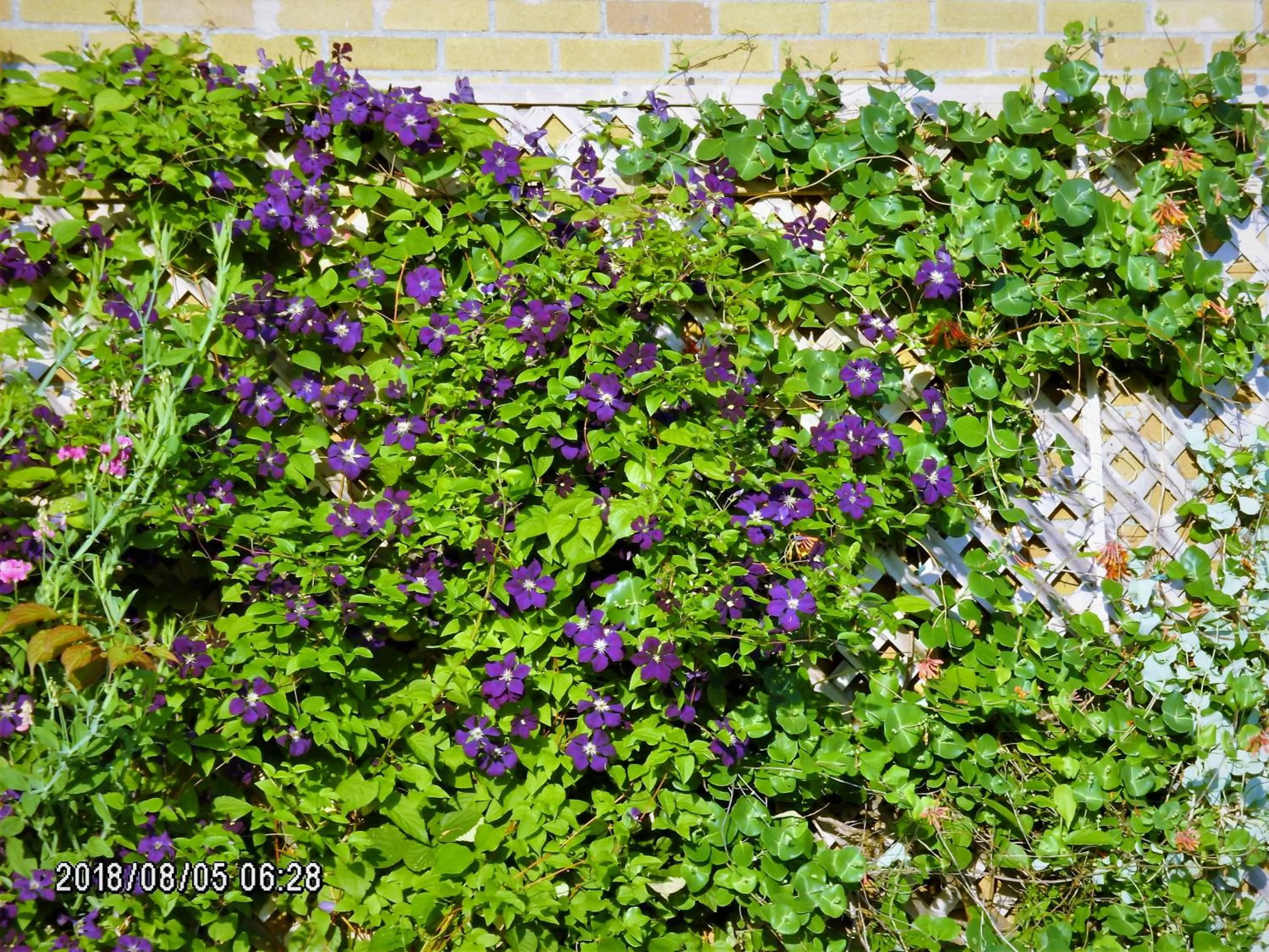 Summer in Auberge Internationale La Vieille École