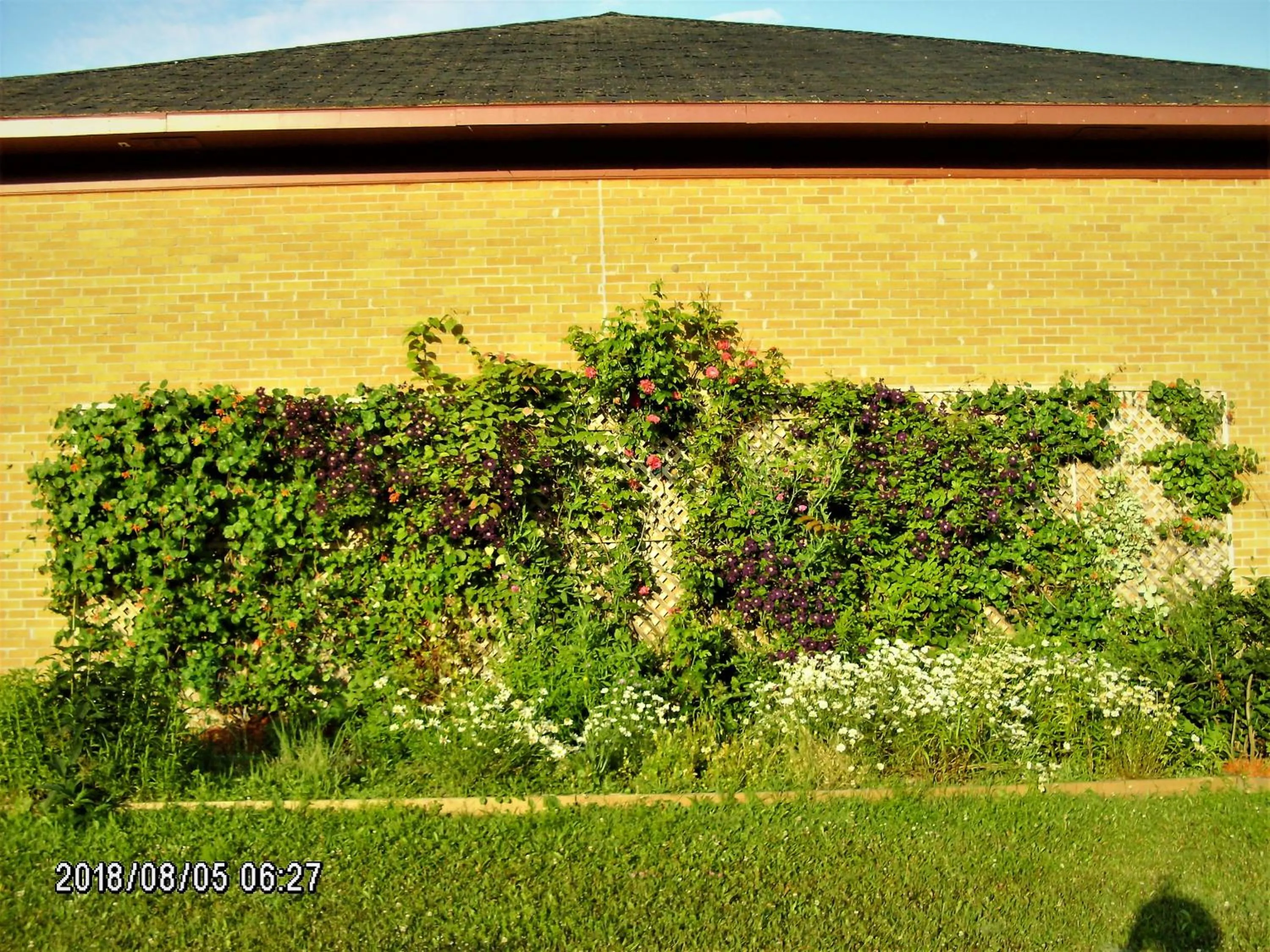 Summer in Auberge Internationale La Vieille École