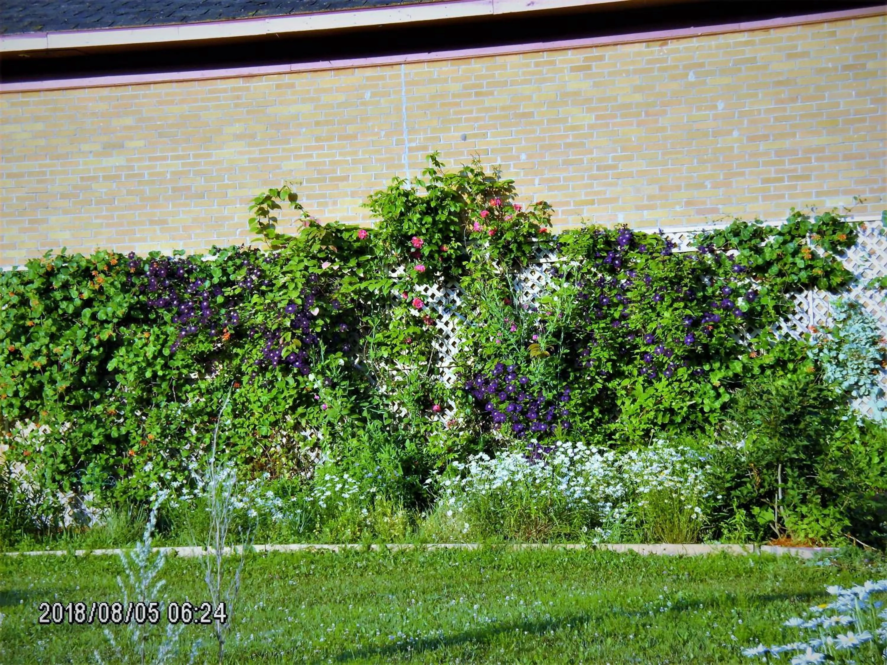 Summer in Auberge Internationale La Vieille École