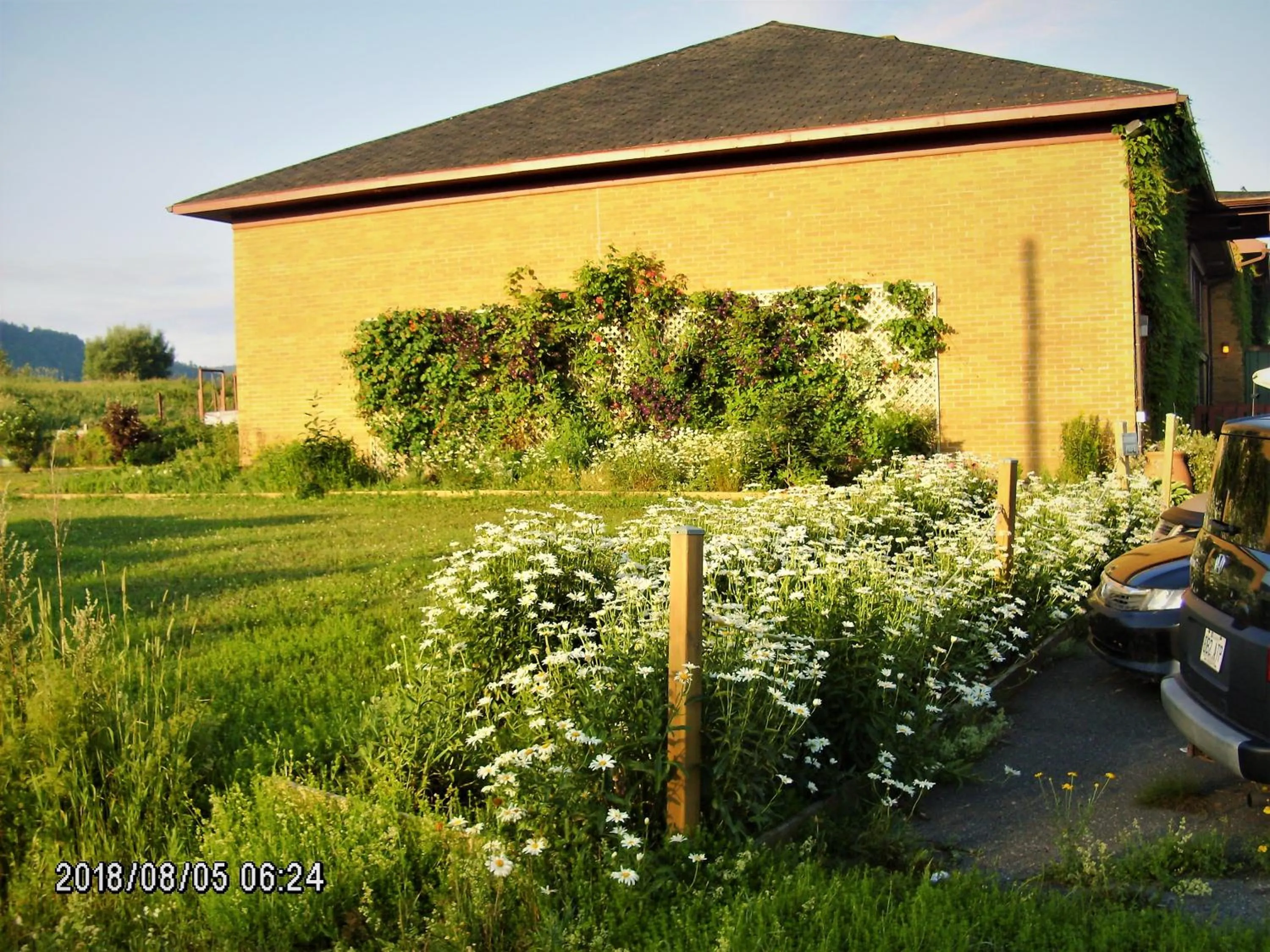 Summer in Auberge Internationale La Vieille École