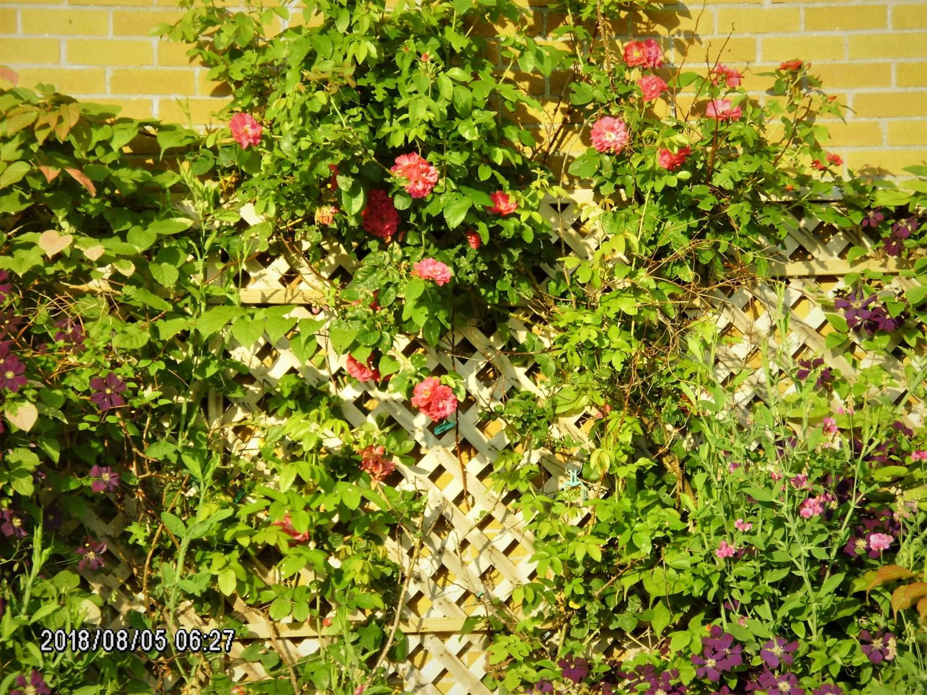 Summer in Auberge Internationale La Vieille École