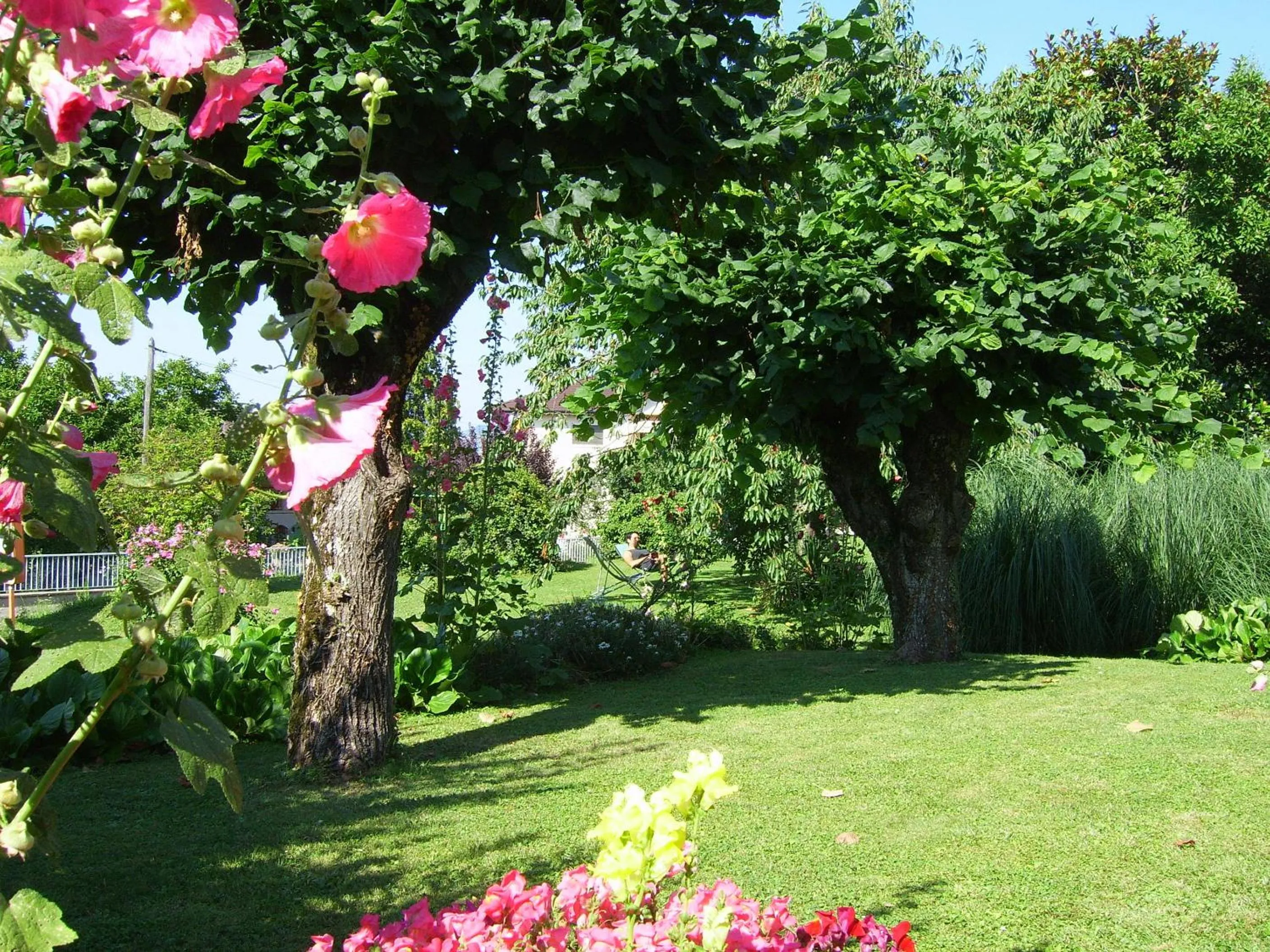 Garden in Hôtel Les Pavillons du Golf