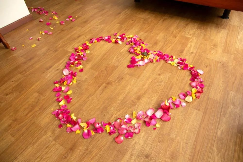 Bird's eye view in Hotel Splendor by Friends Company